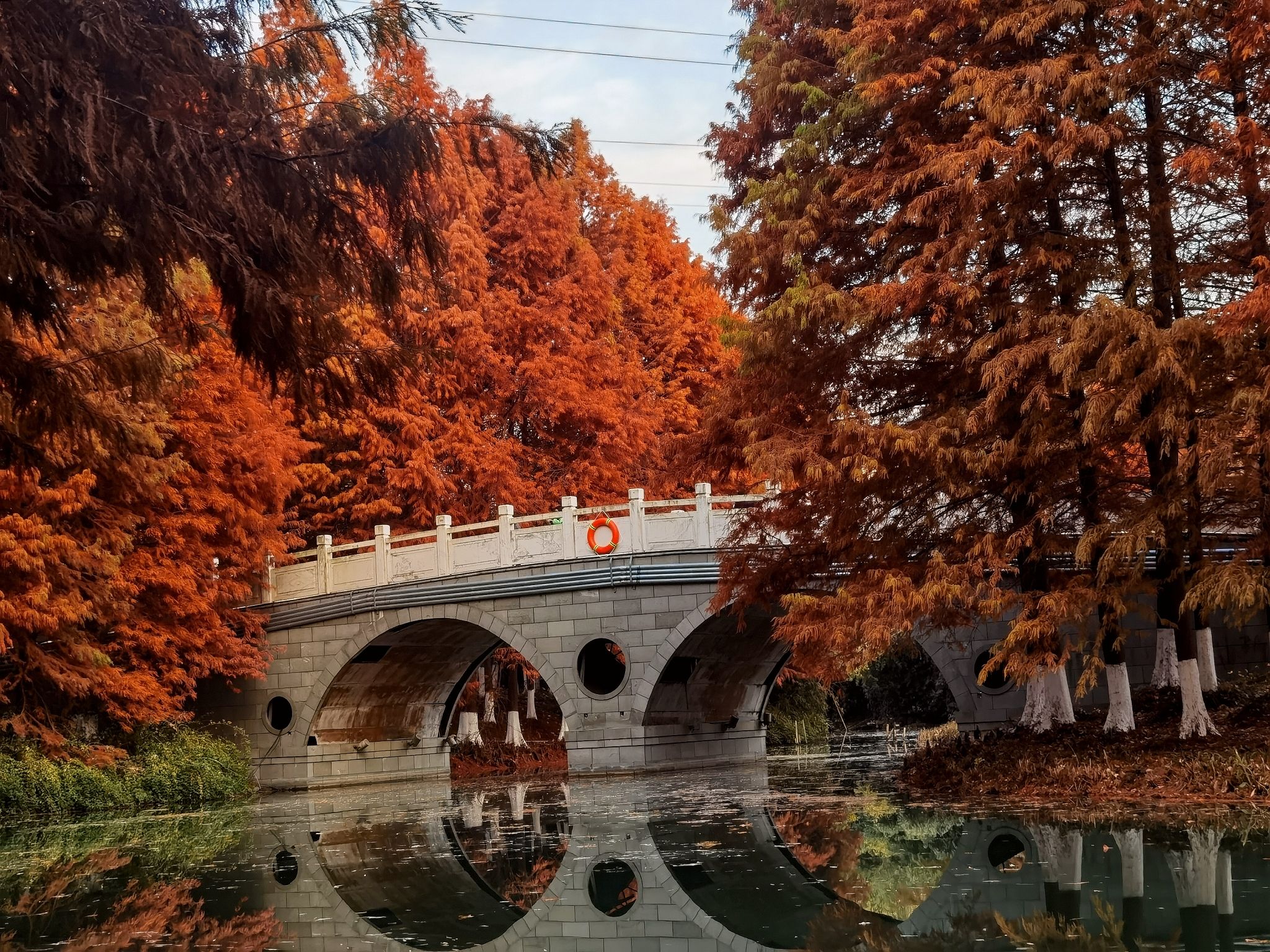 盐渎公园旅行图片 1