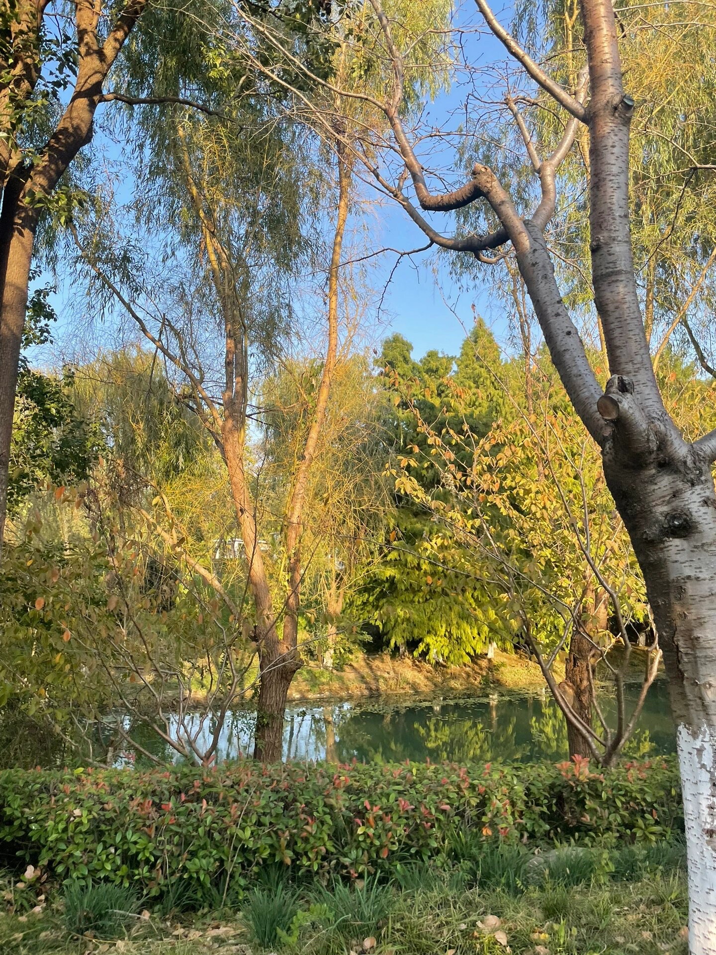 盐渎公园旅行图片 3