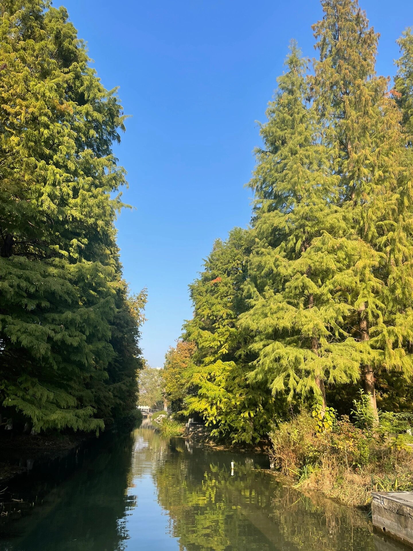 盐渎公园旅行图片 2