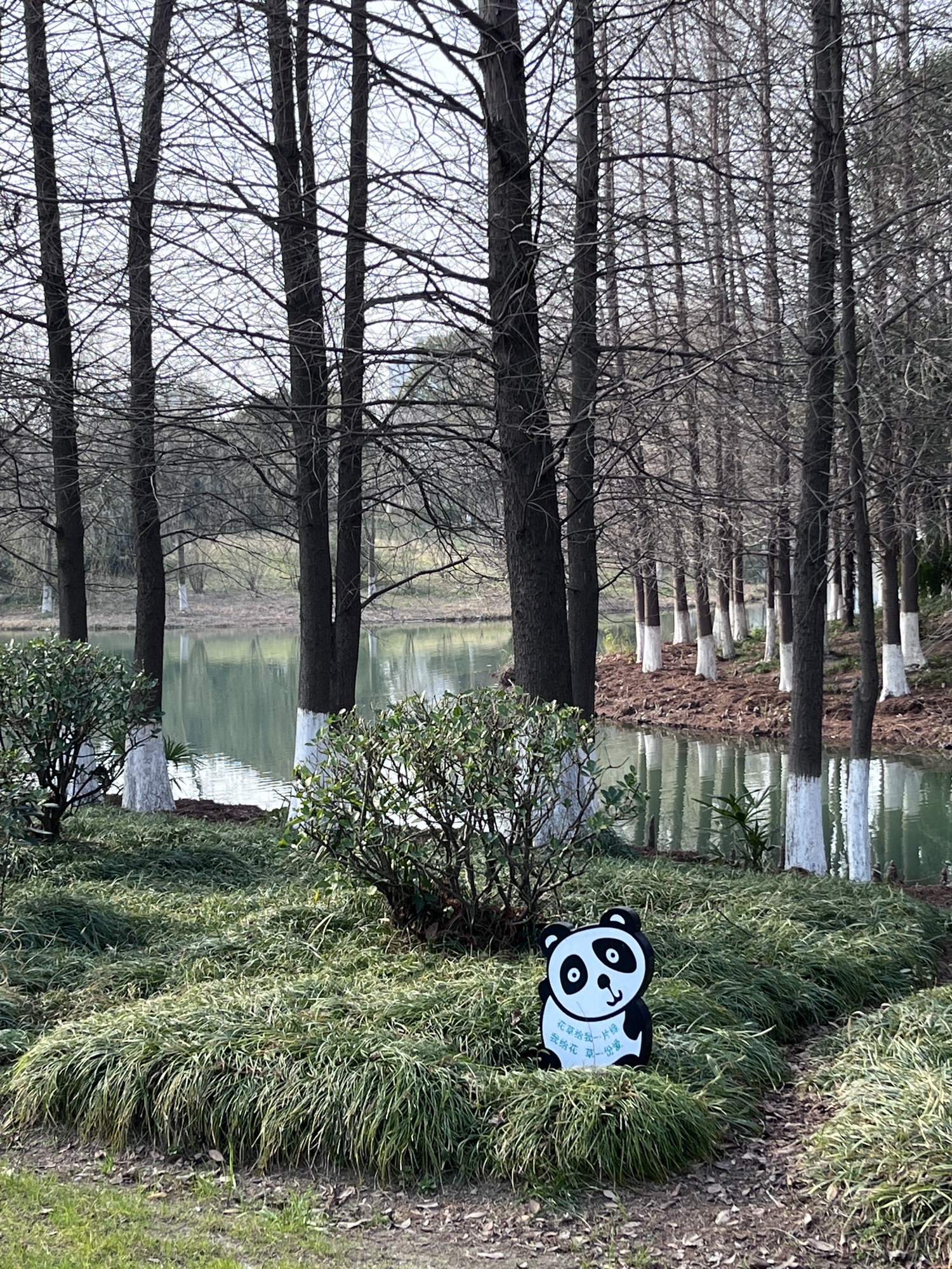 盐渎公园旅行图片 1