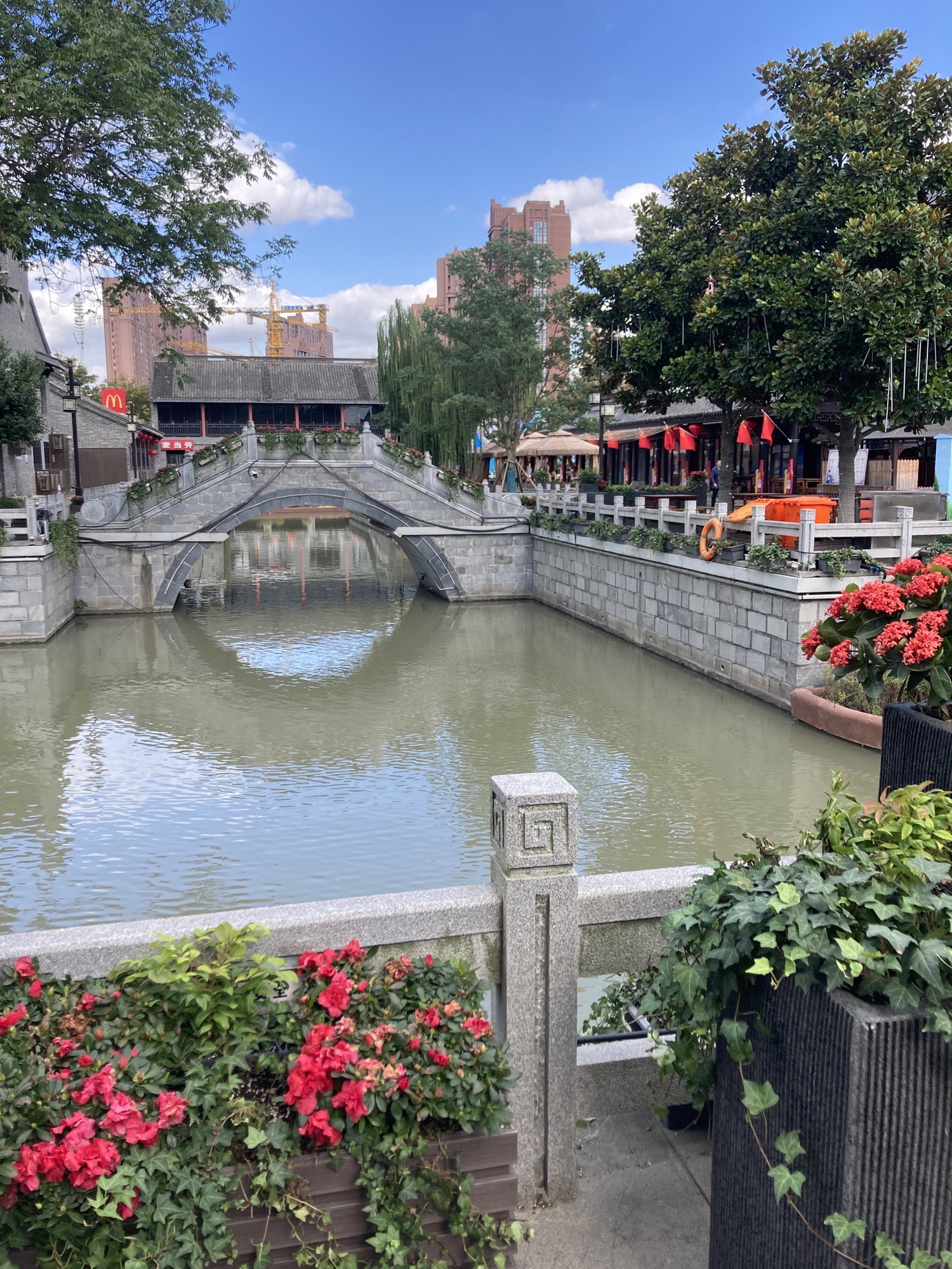 盐渎公园旅行图片 3