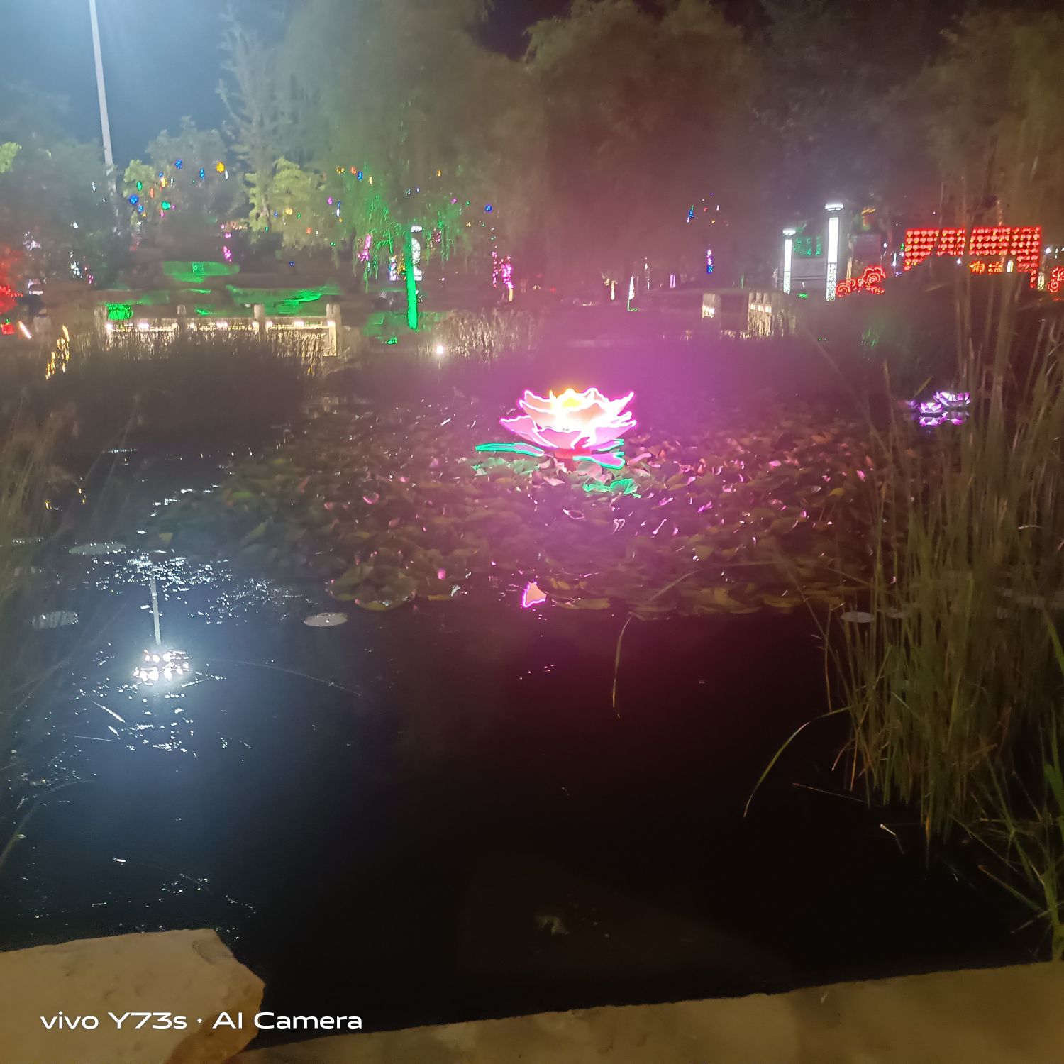 滨海公园-南湖公园旅行图片 1