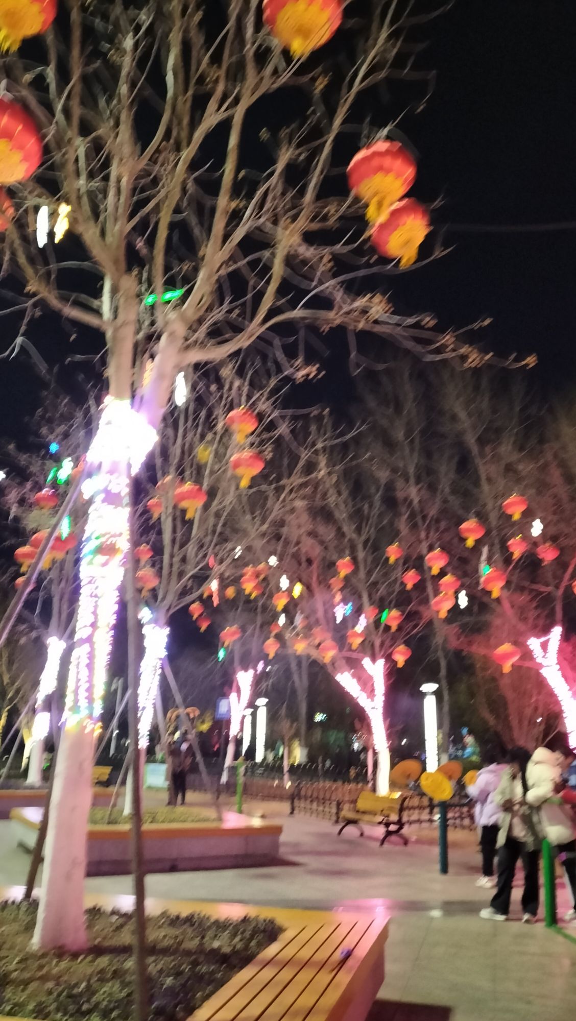 滨海公园-南湖公园旅行图片 2