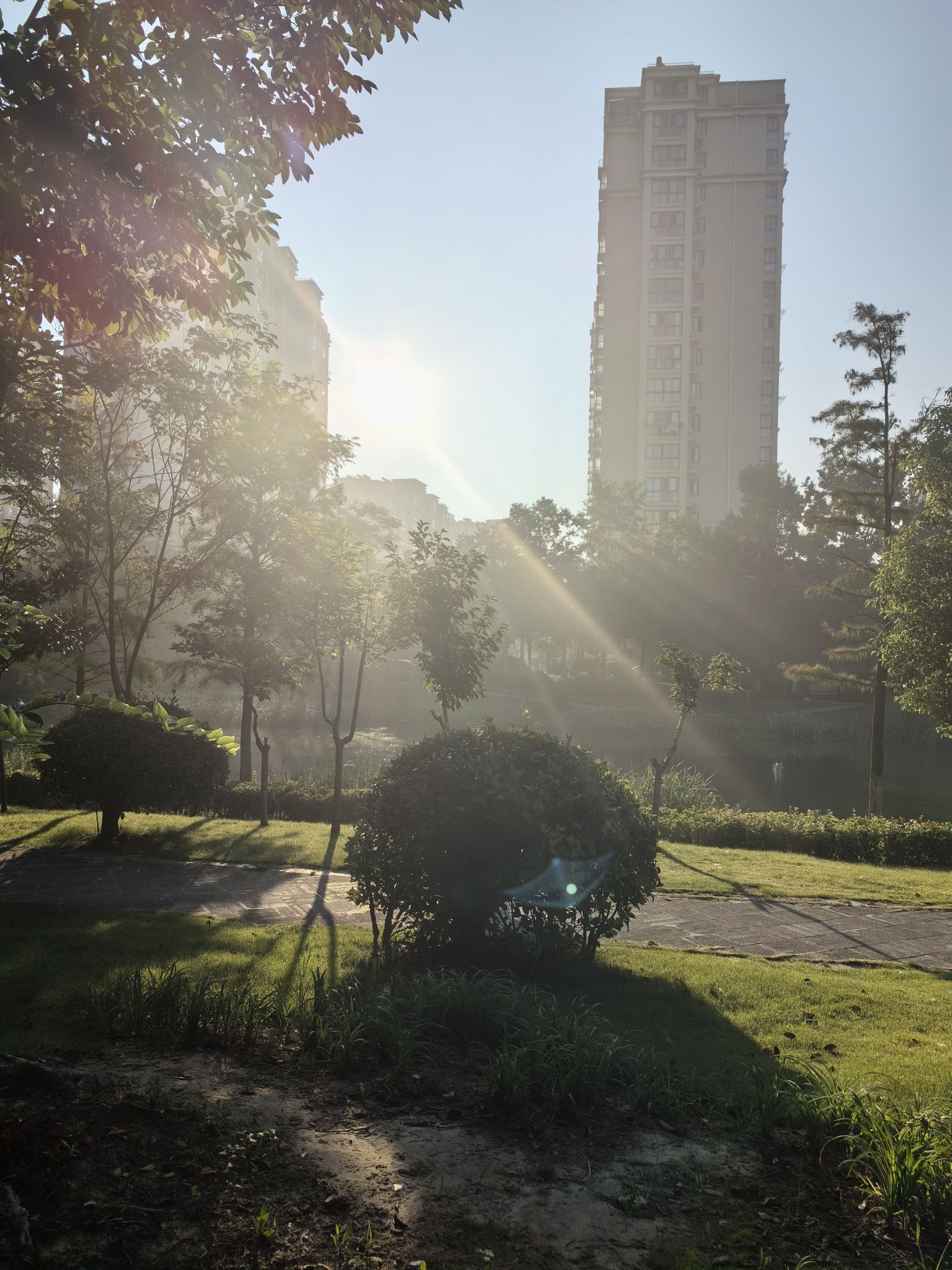 清水湖公园旅行图片 1