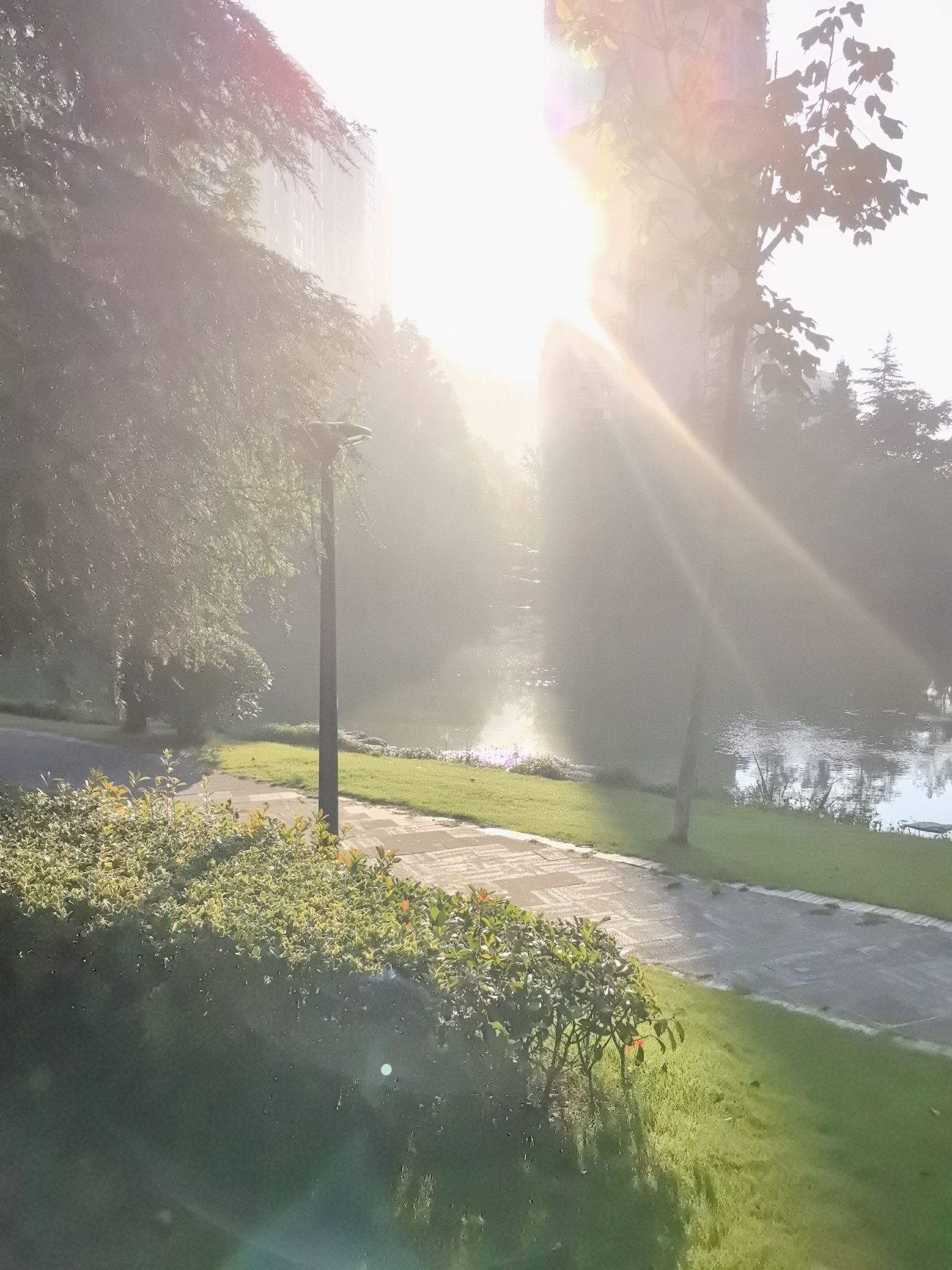清水湖公园旅行图片 2