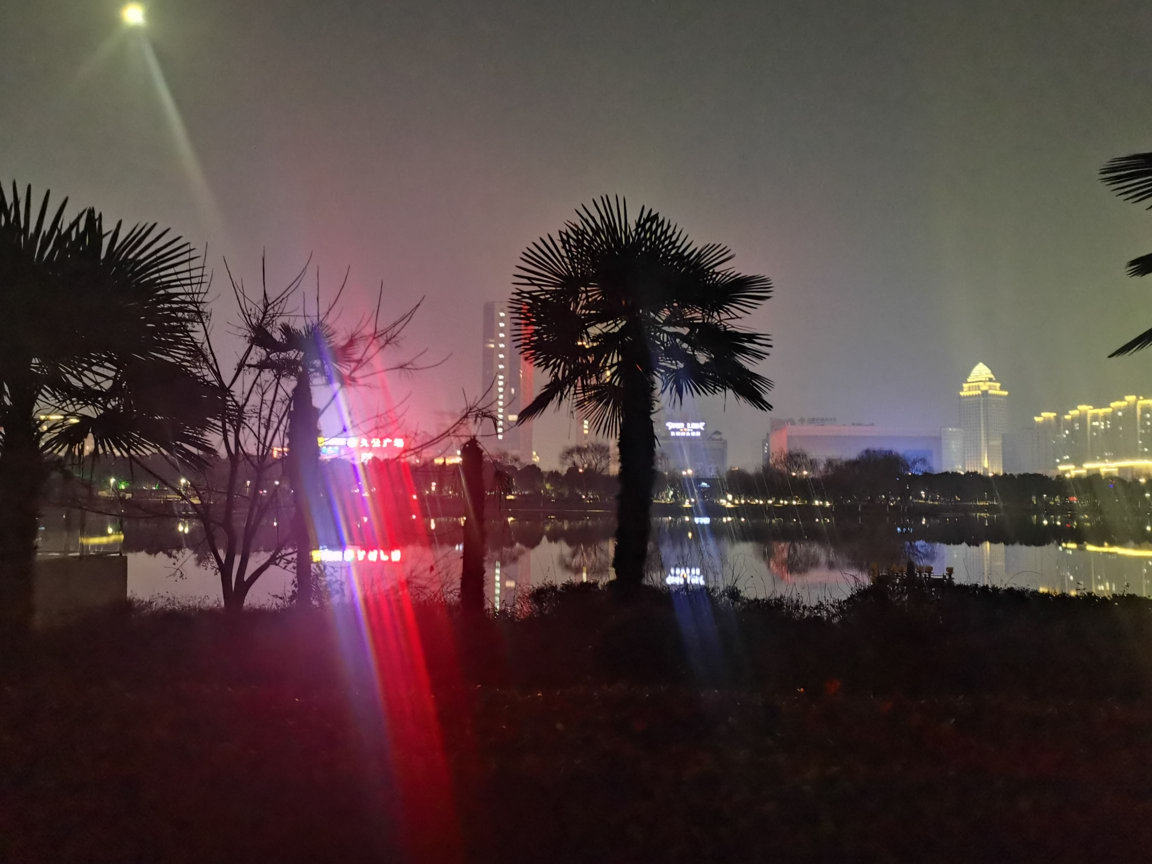 白天鹅公园旅行图片 1