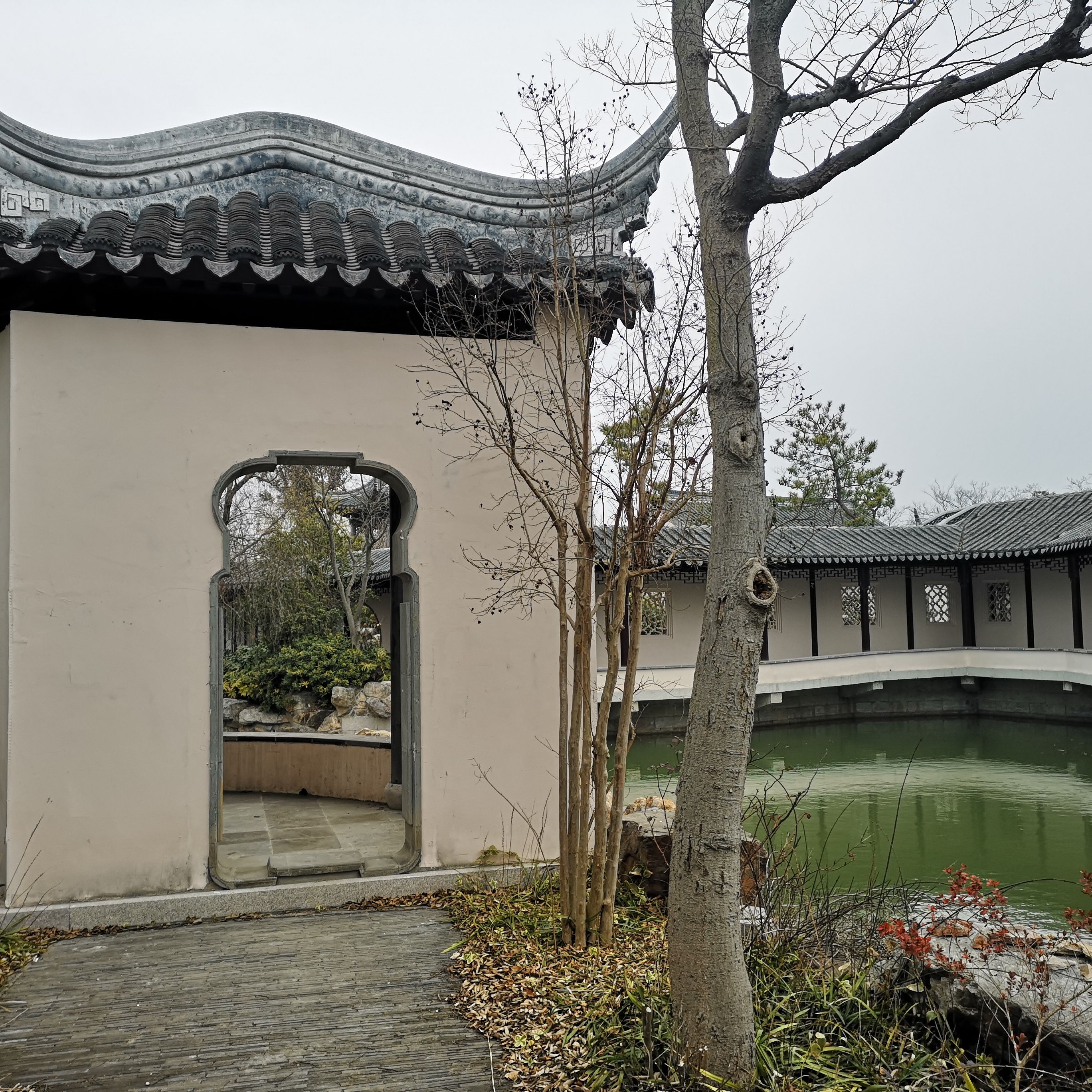 白天鹅公园旅行图片 3