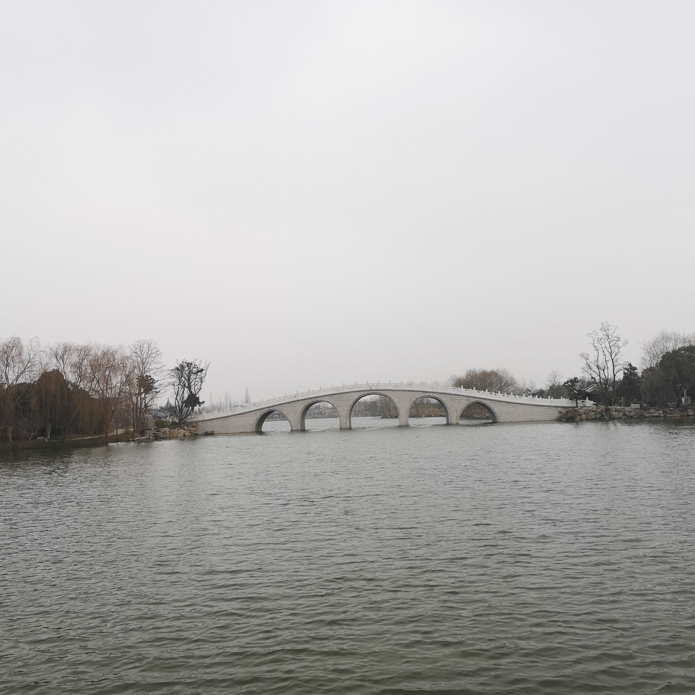 白天鹅公园旅行图片 2