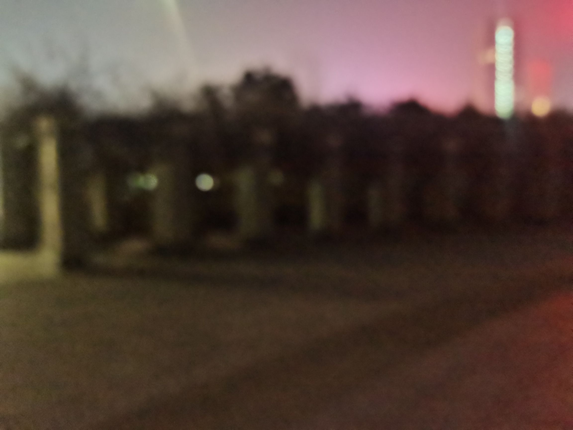 白天鹅公园旅行图片 3