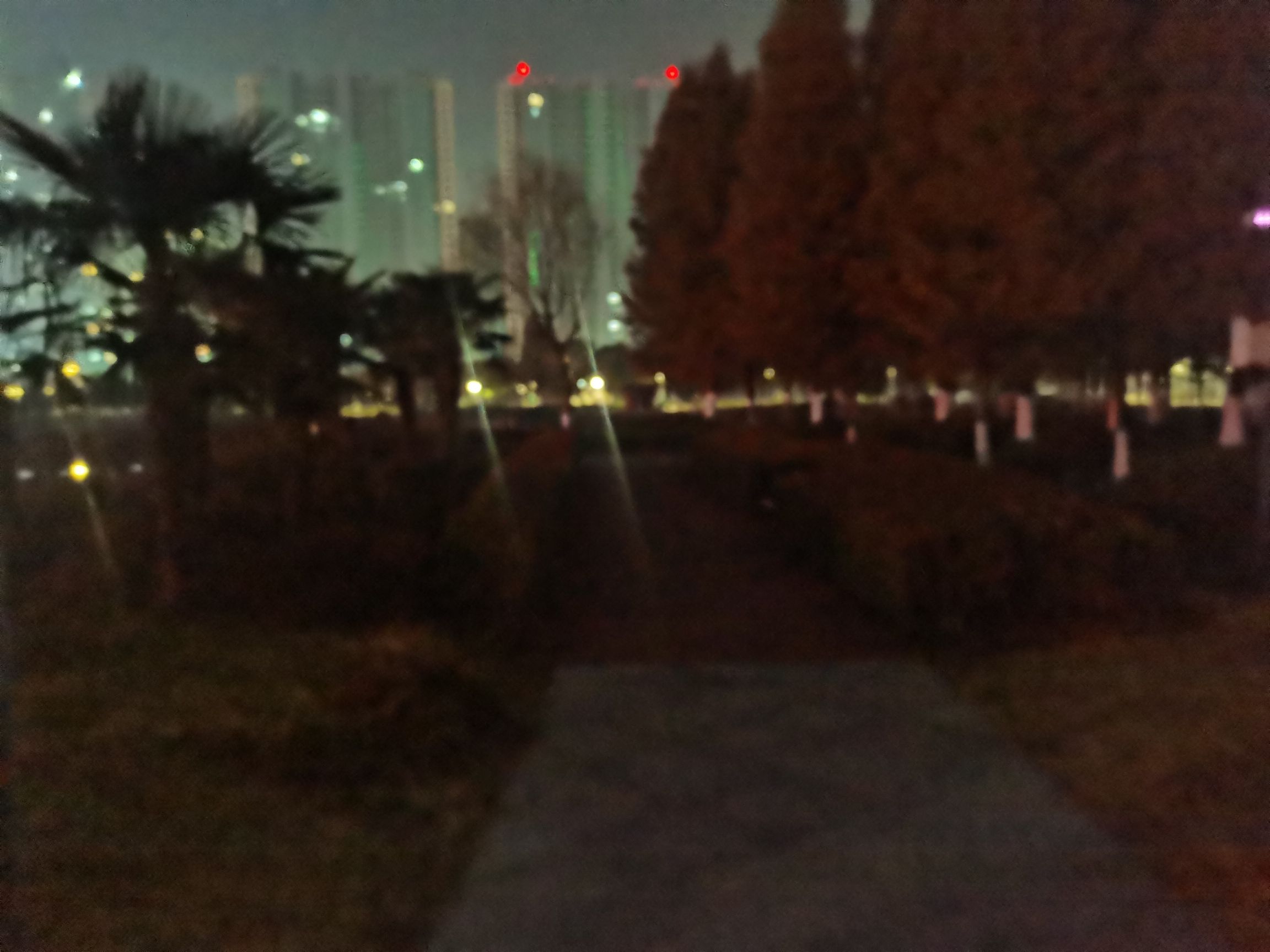 白天鹅公园旅行图片 2