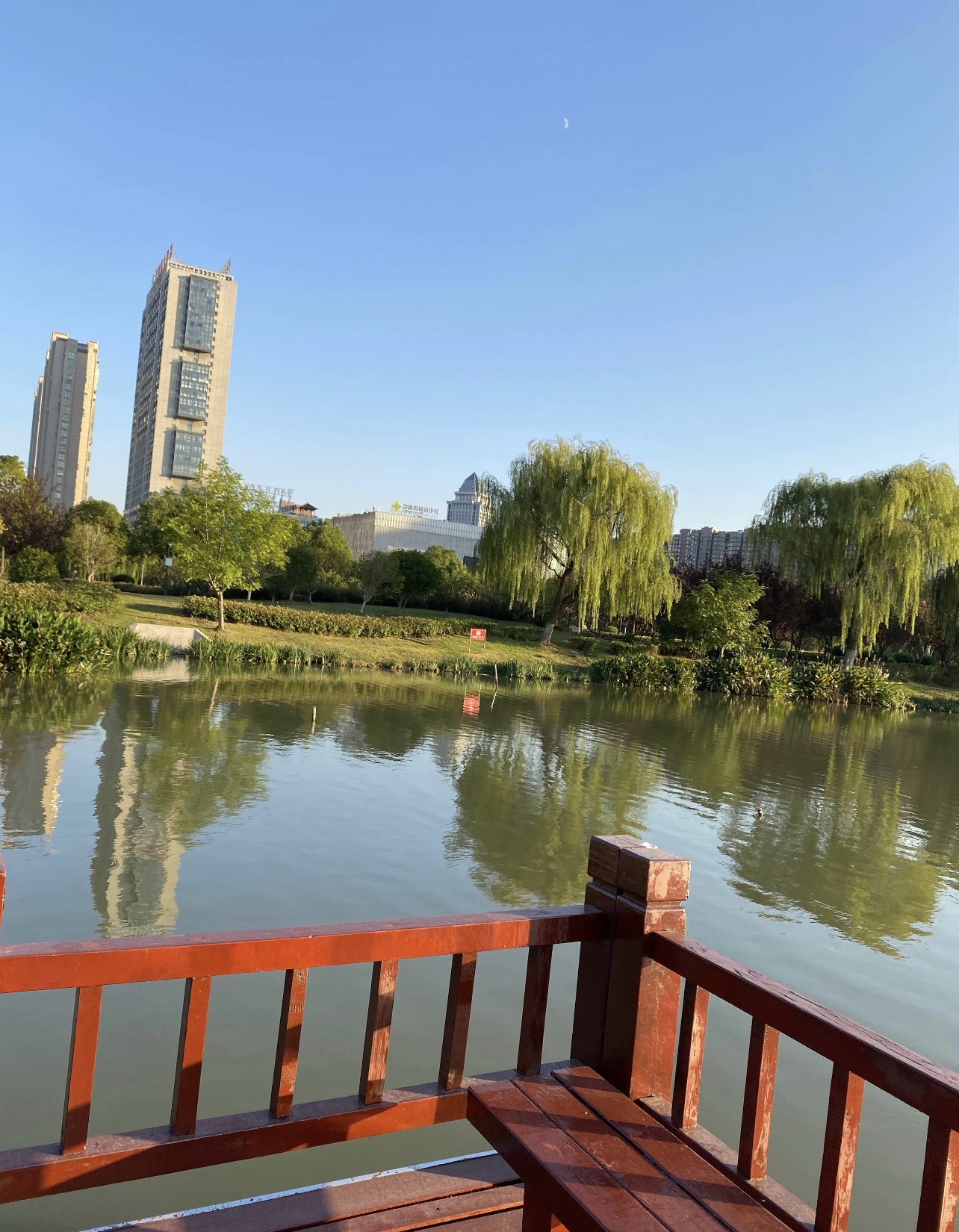 白天鹅公园旅行图片 2