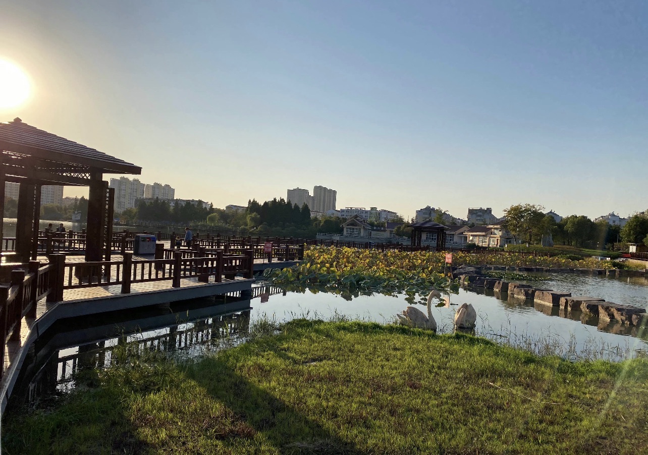 白天鹅公园旅行图片 3