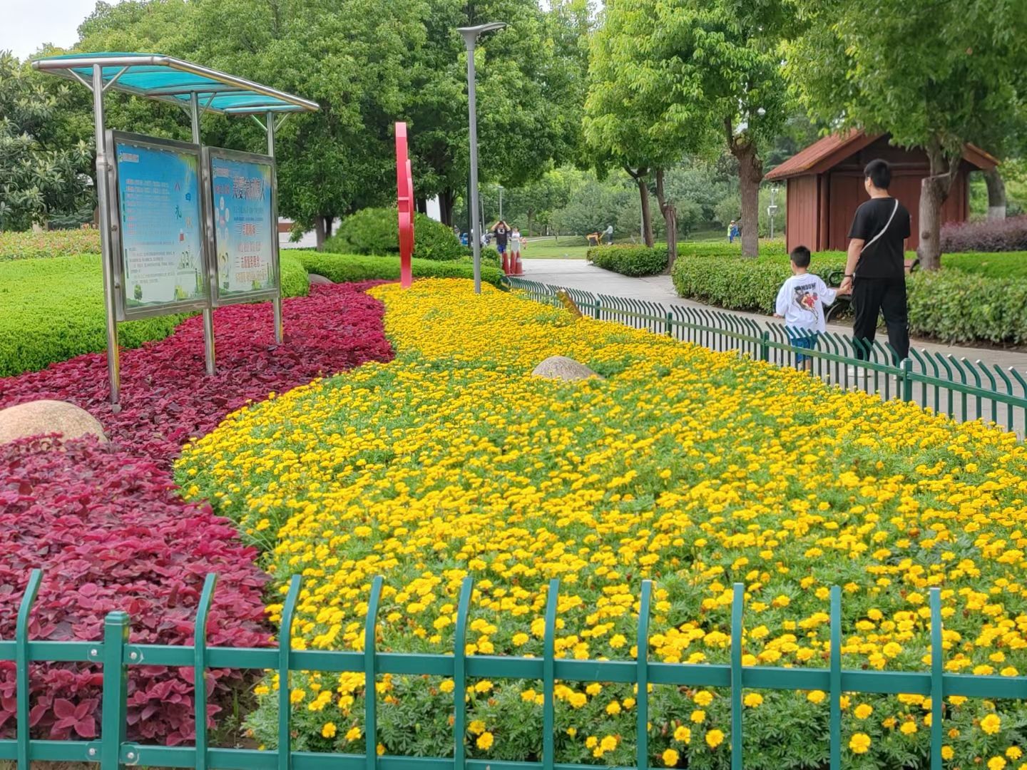 白天鹅公园旅行图片 1