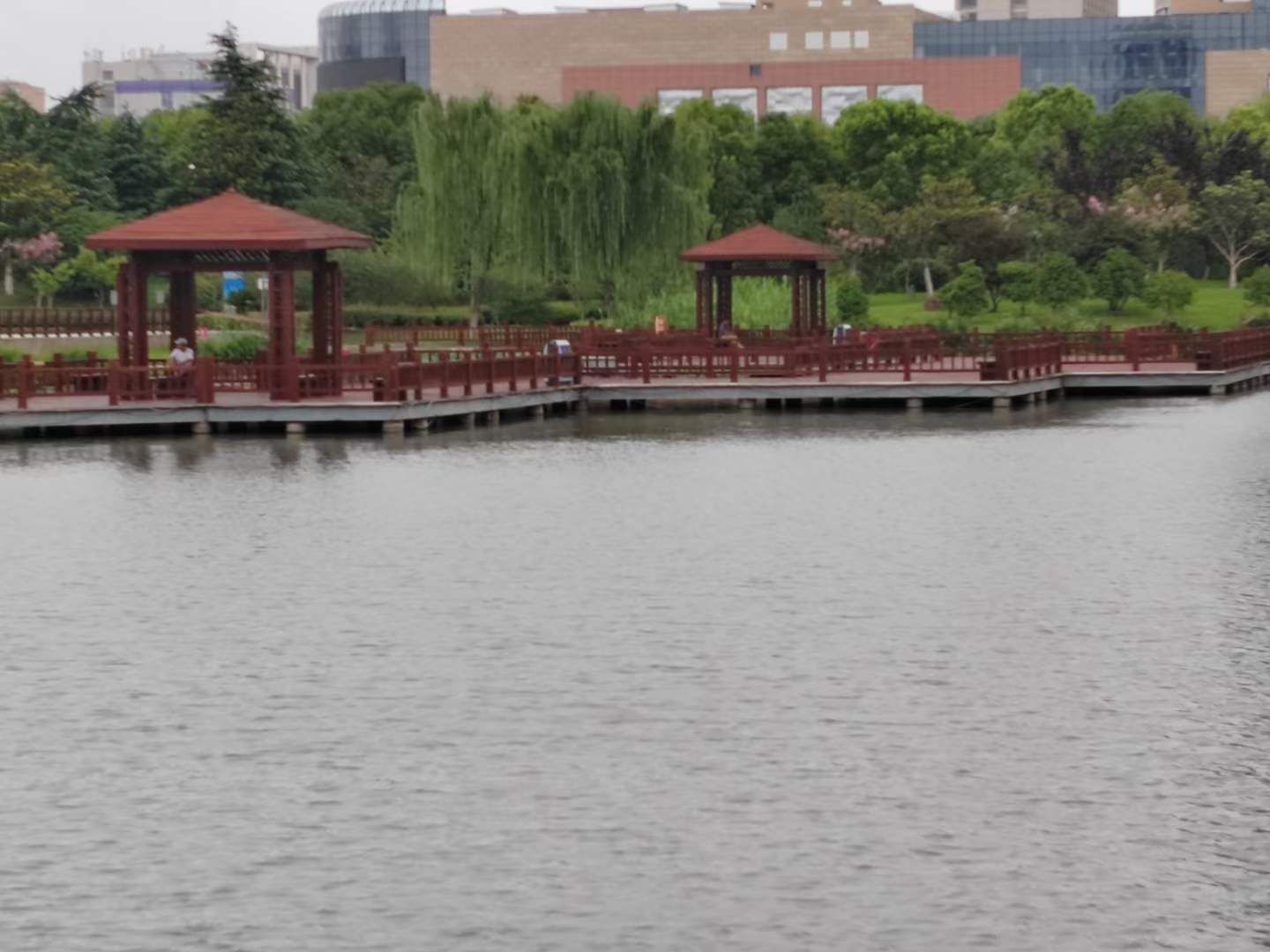 白天鹅公园旅行图片 2