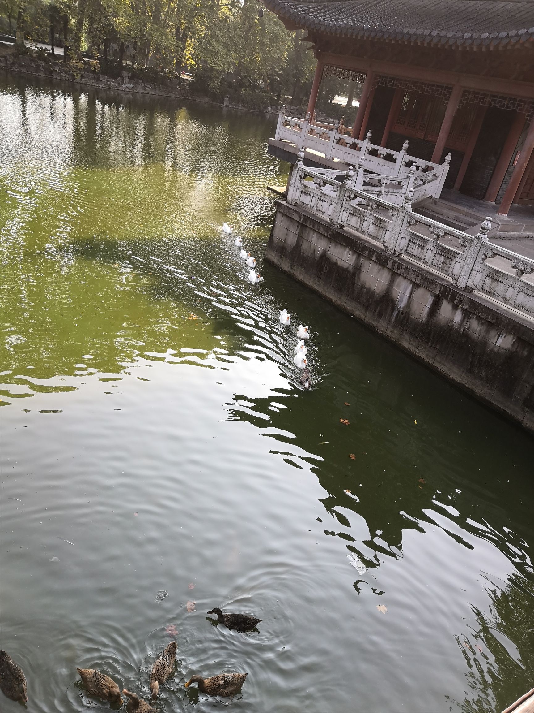 中国海盐历史文化风貌区旅行图片 1