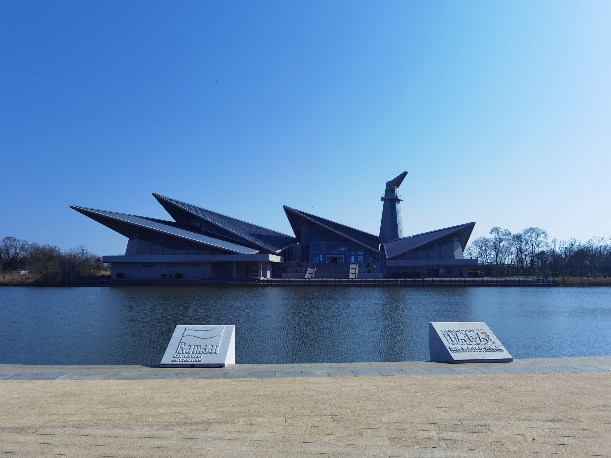 丹顶鹤湿地生态旅游区旅行图片 1