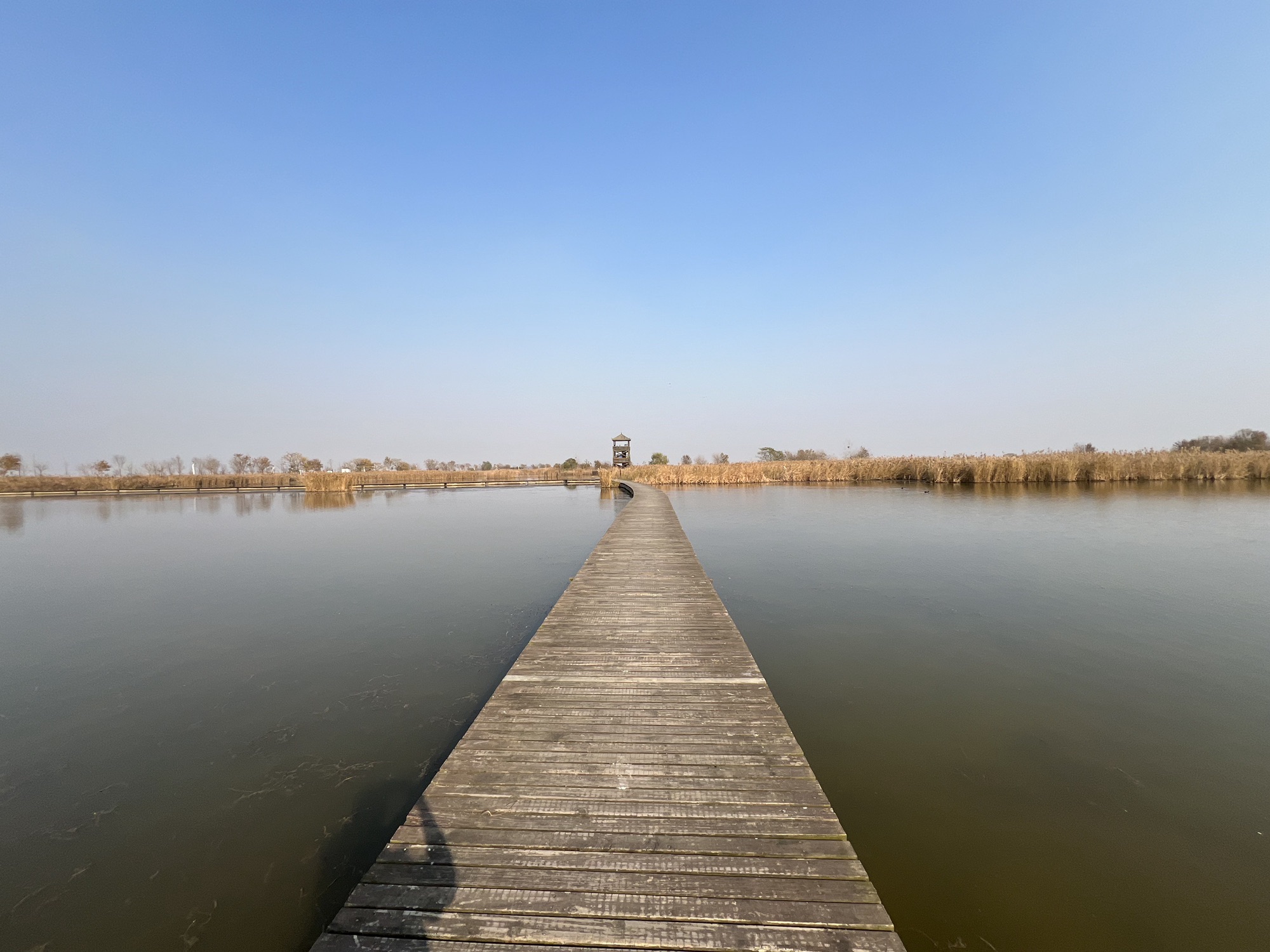 丹顶鹤湿地生态旅游区旅行图片 3