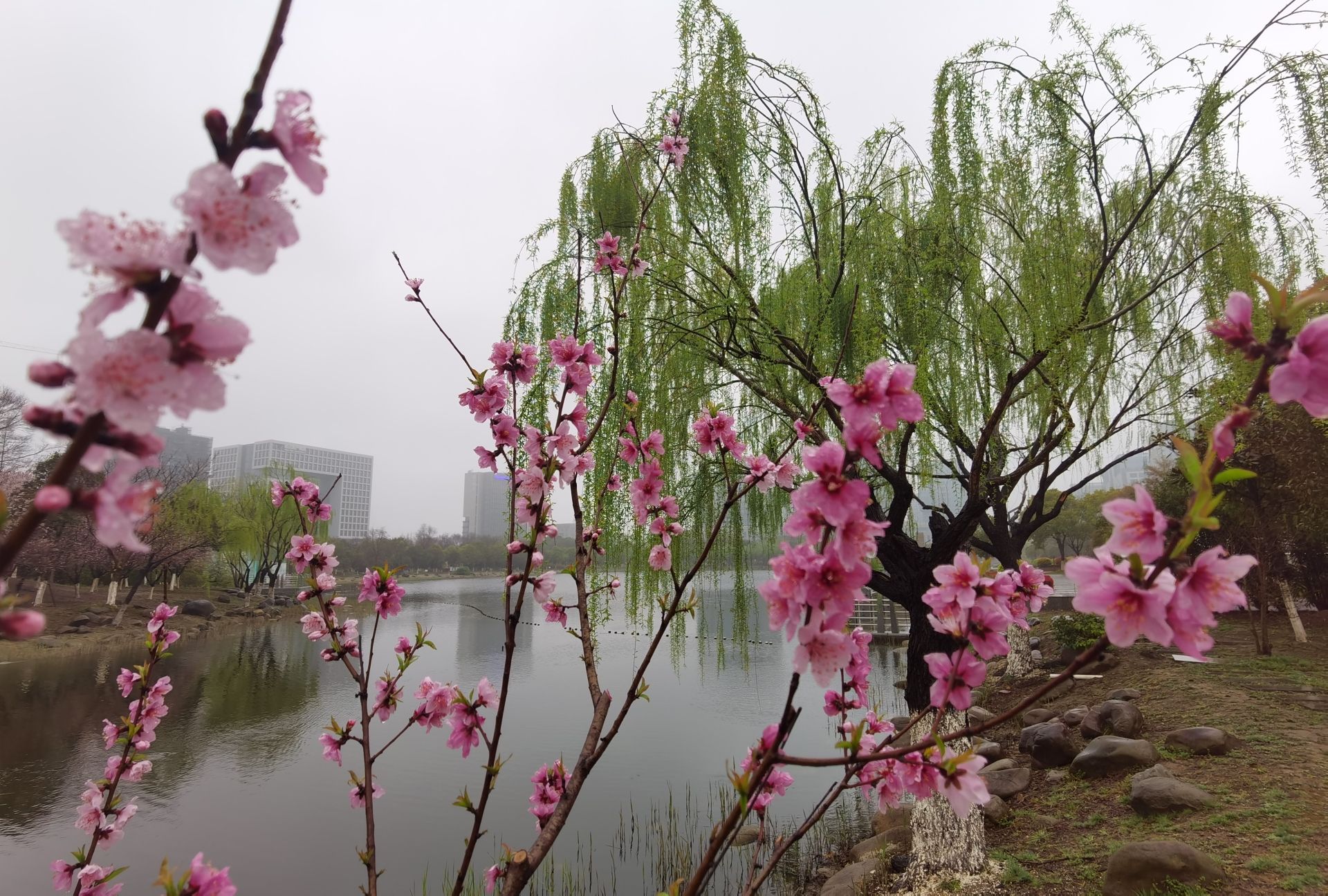东方公园旅行图片 1