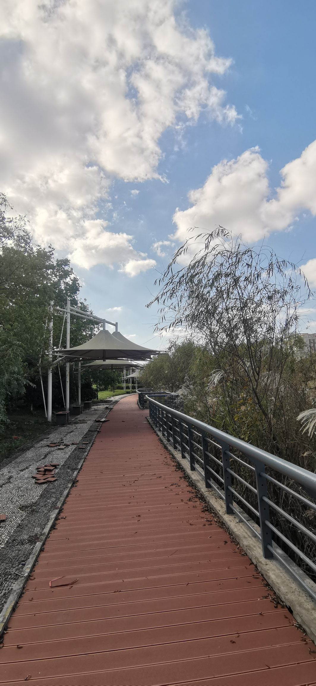 通海湖公园旅行图片 1