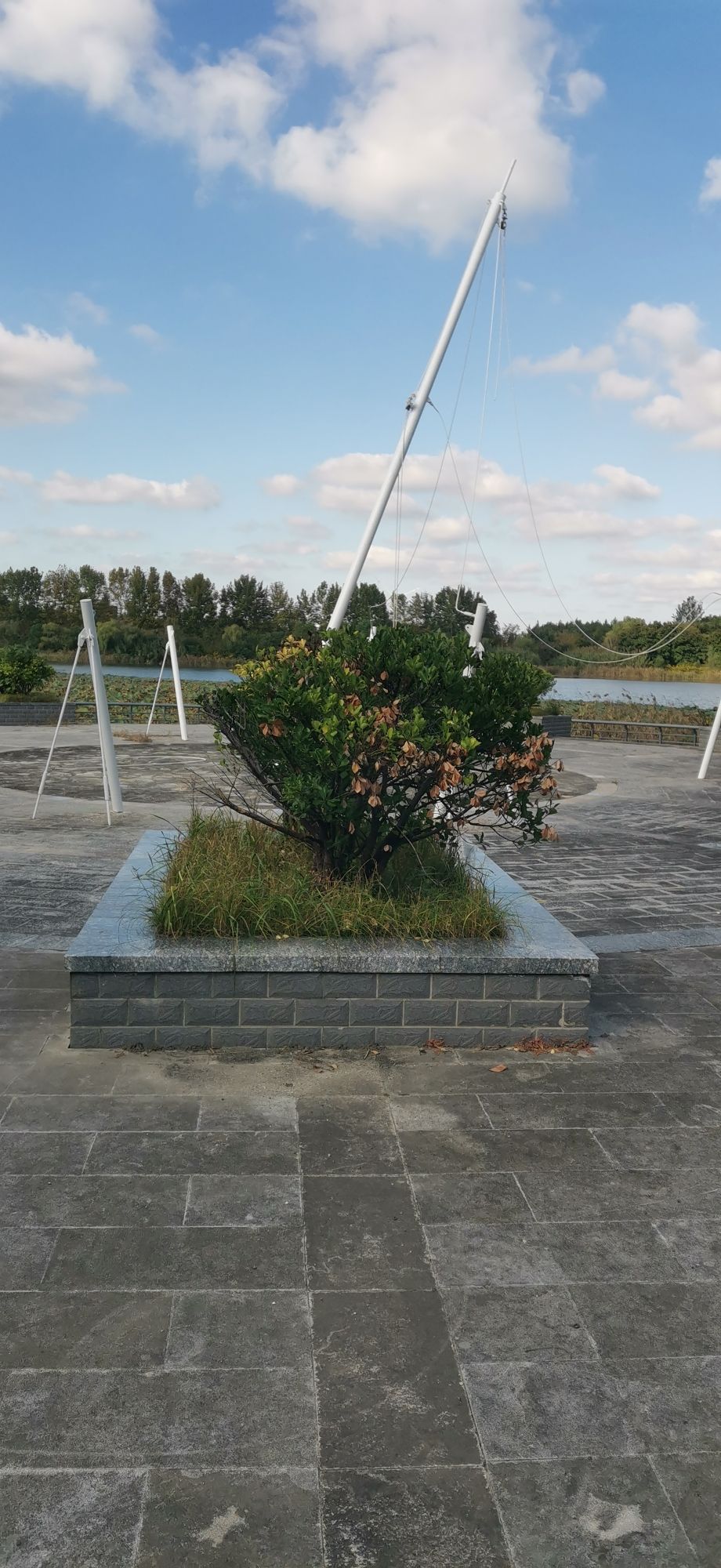 通海湖公园旅行图片 2