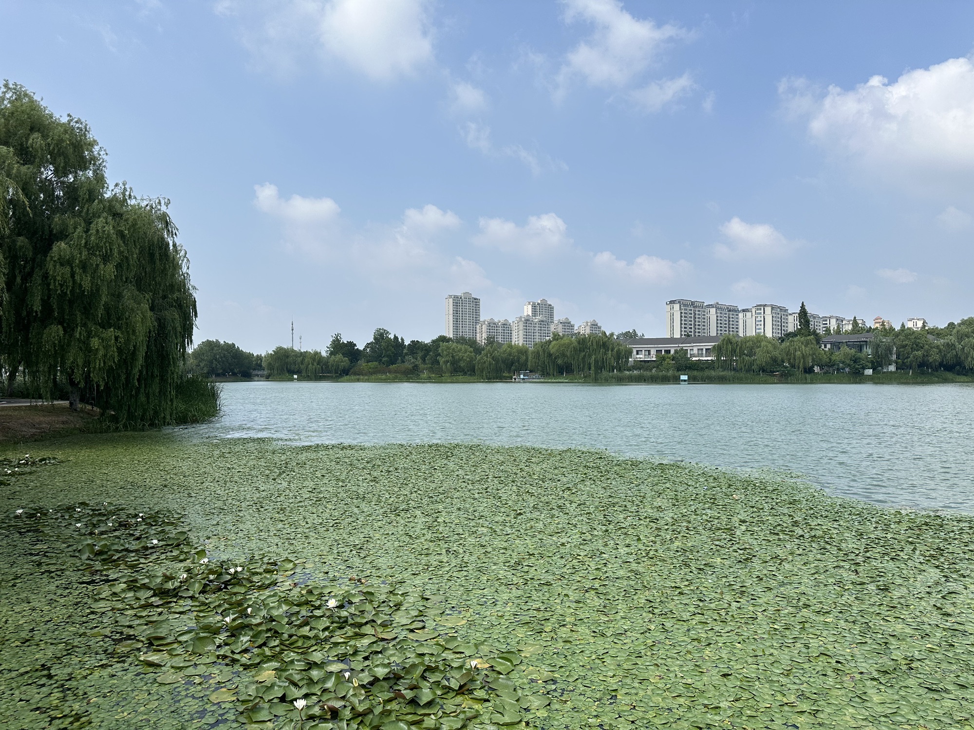 响水法治公园