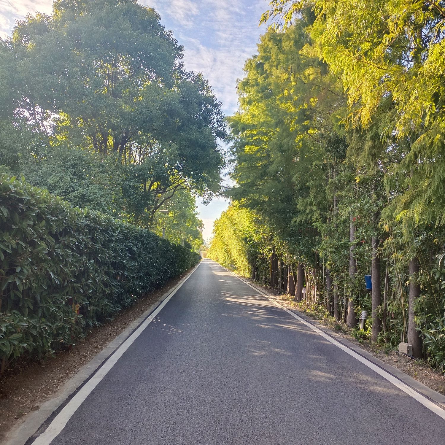 东郊公园旅行图片 3