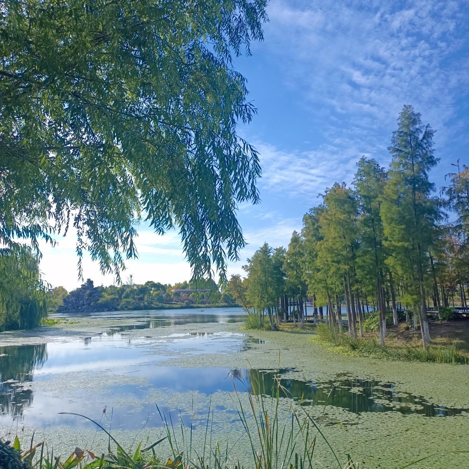 东郊公园旅行图片 2