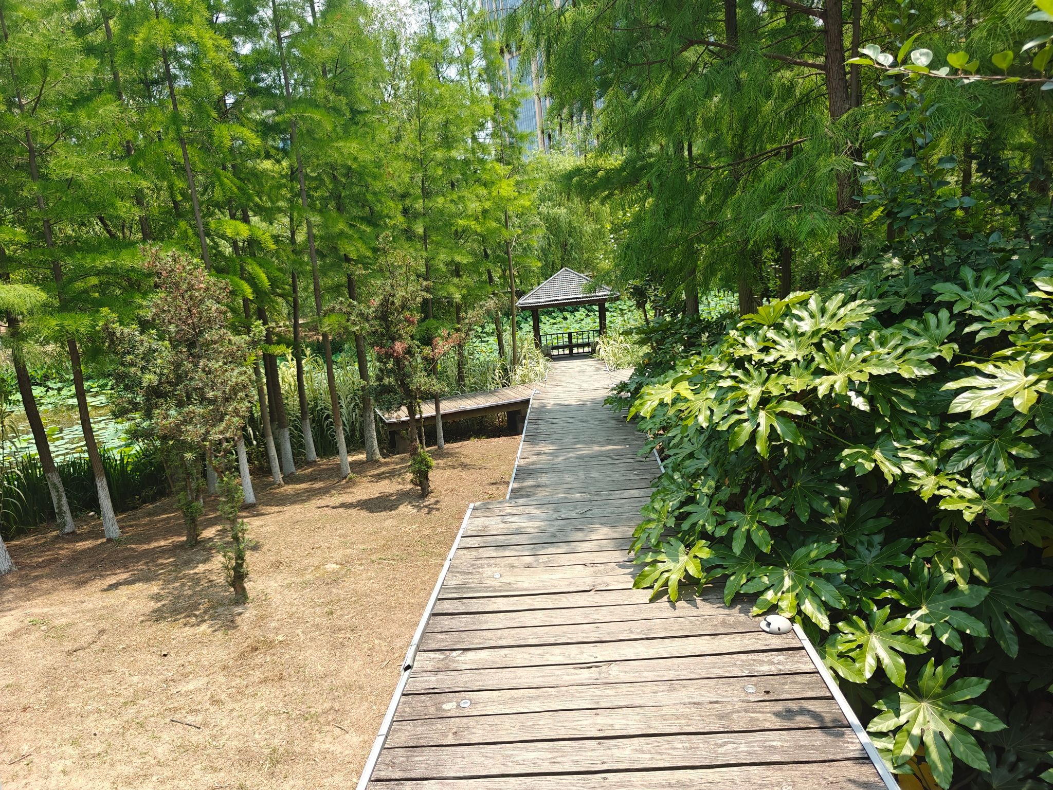 东郊公园旅行图片 2