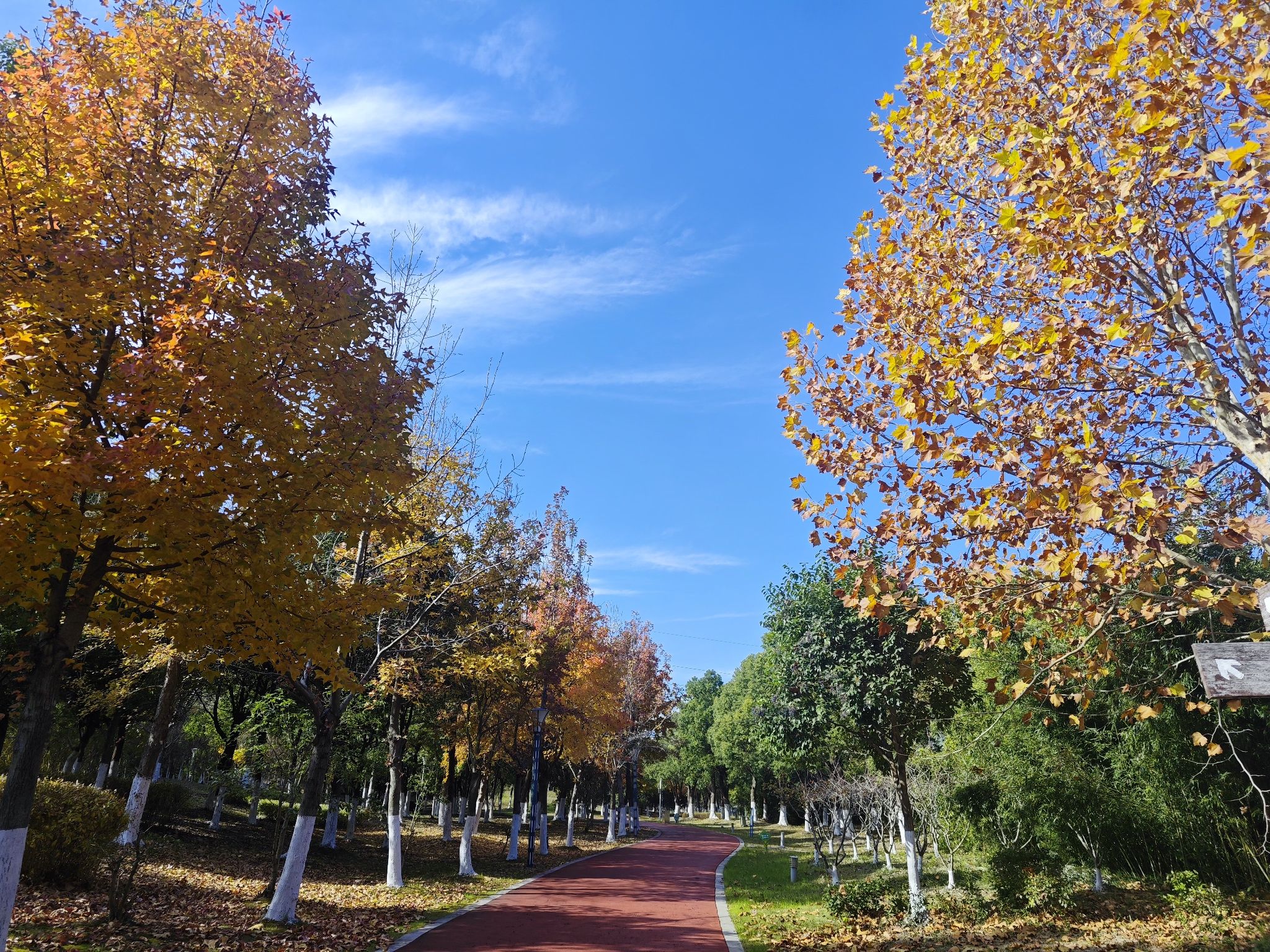 东郊公园旅行图片 1