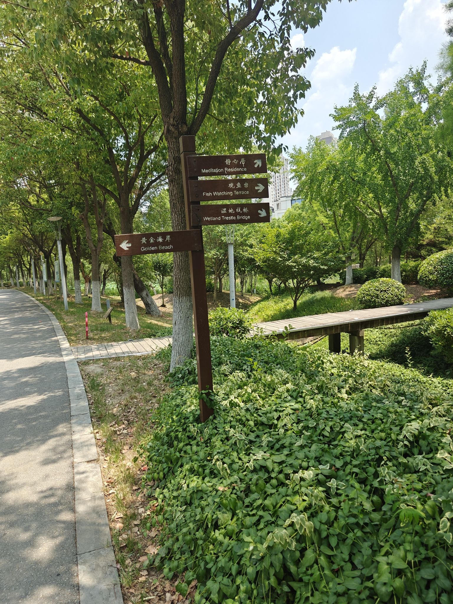 东郊公园旅行图片 3