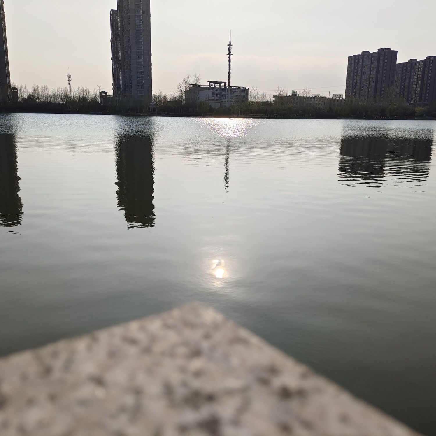 西湖公园旅行图片 1