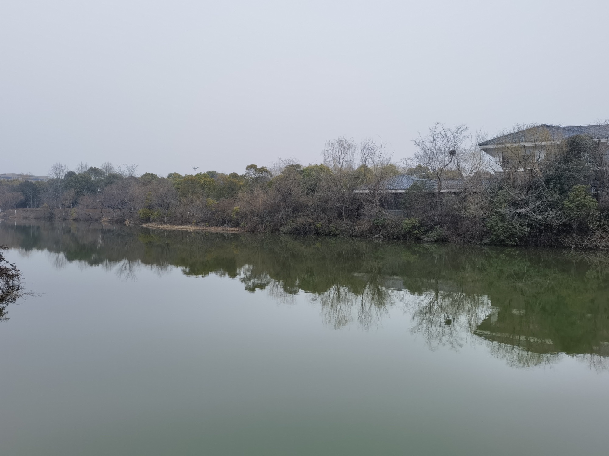 双湖公园旅行图片 2