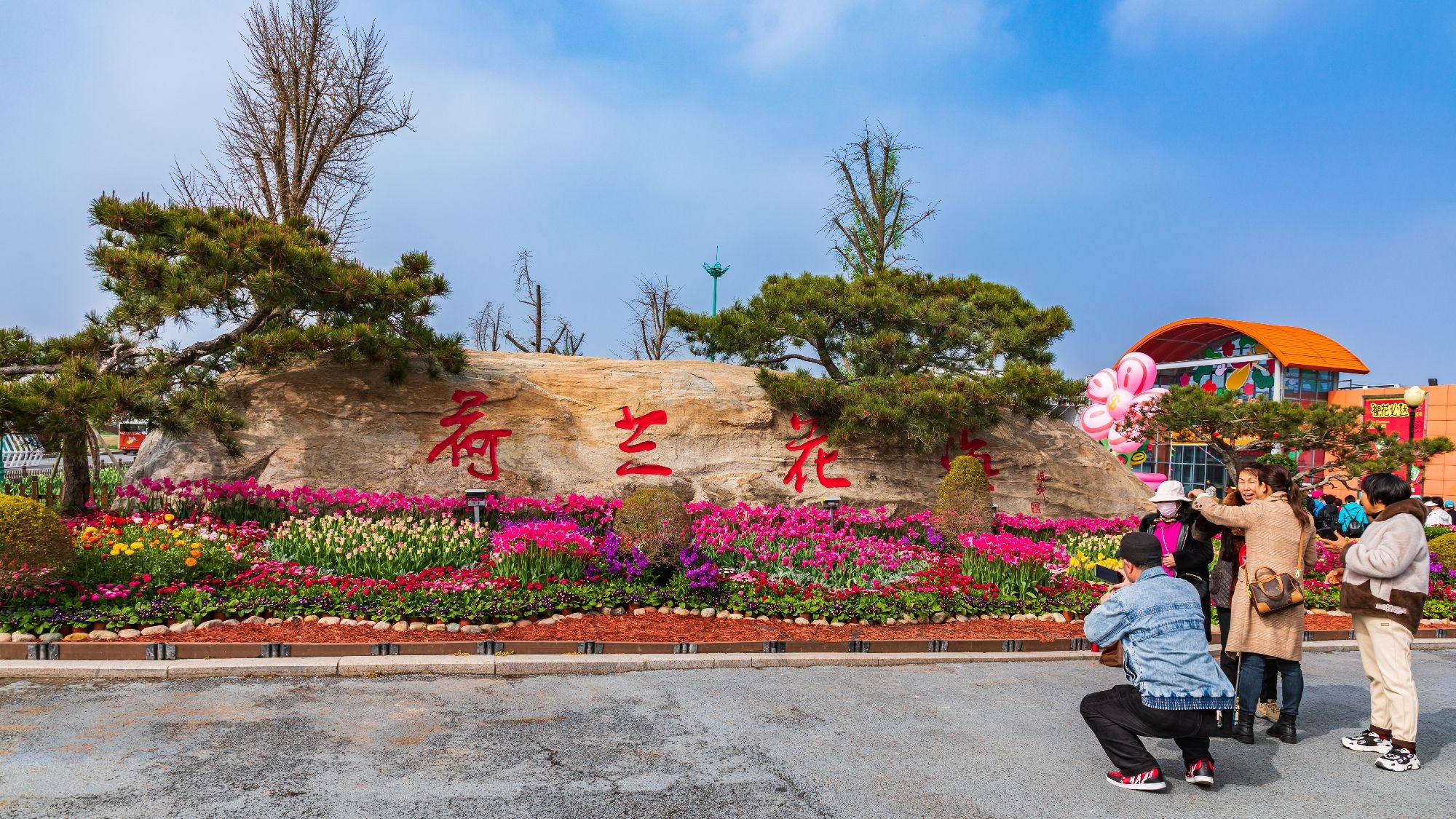 荷兰花海旅行图片 2
