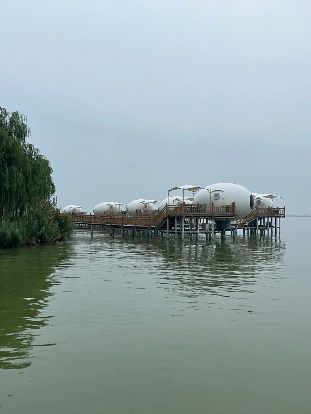 金沙湖旅游区旅行图片 2