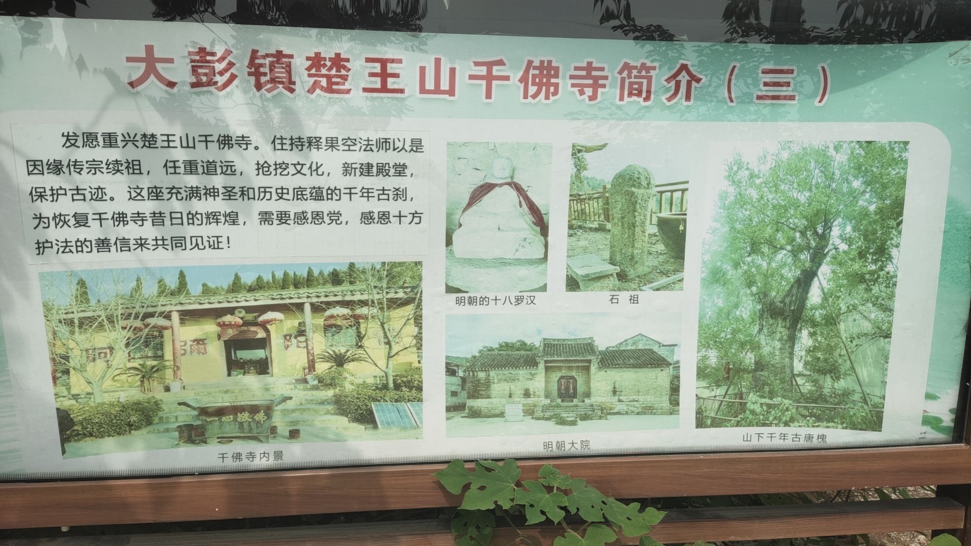 楚王山汉墓群旅行图片 3