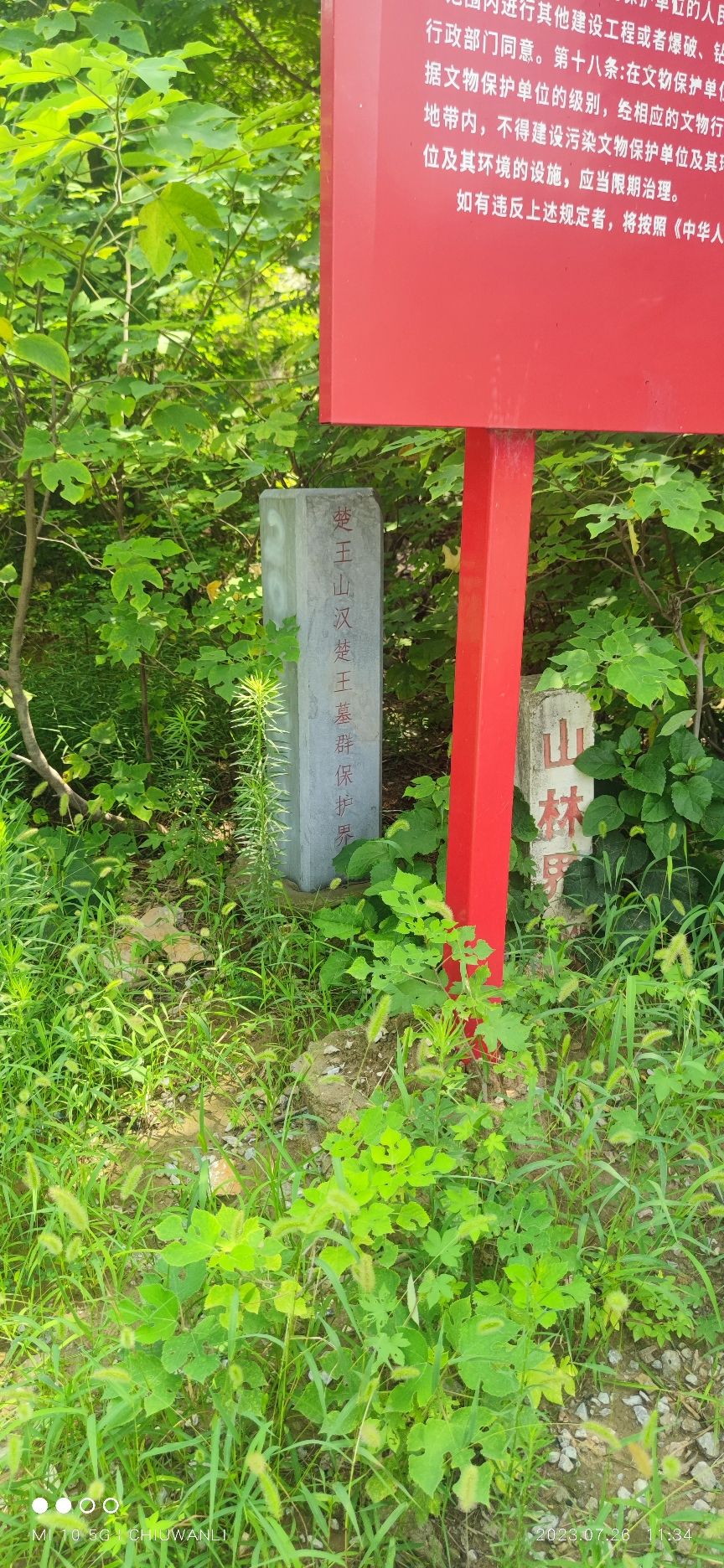 楚王山汉墓群旅行图片 1