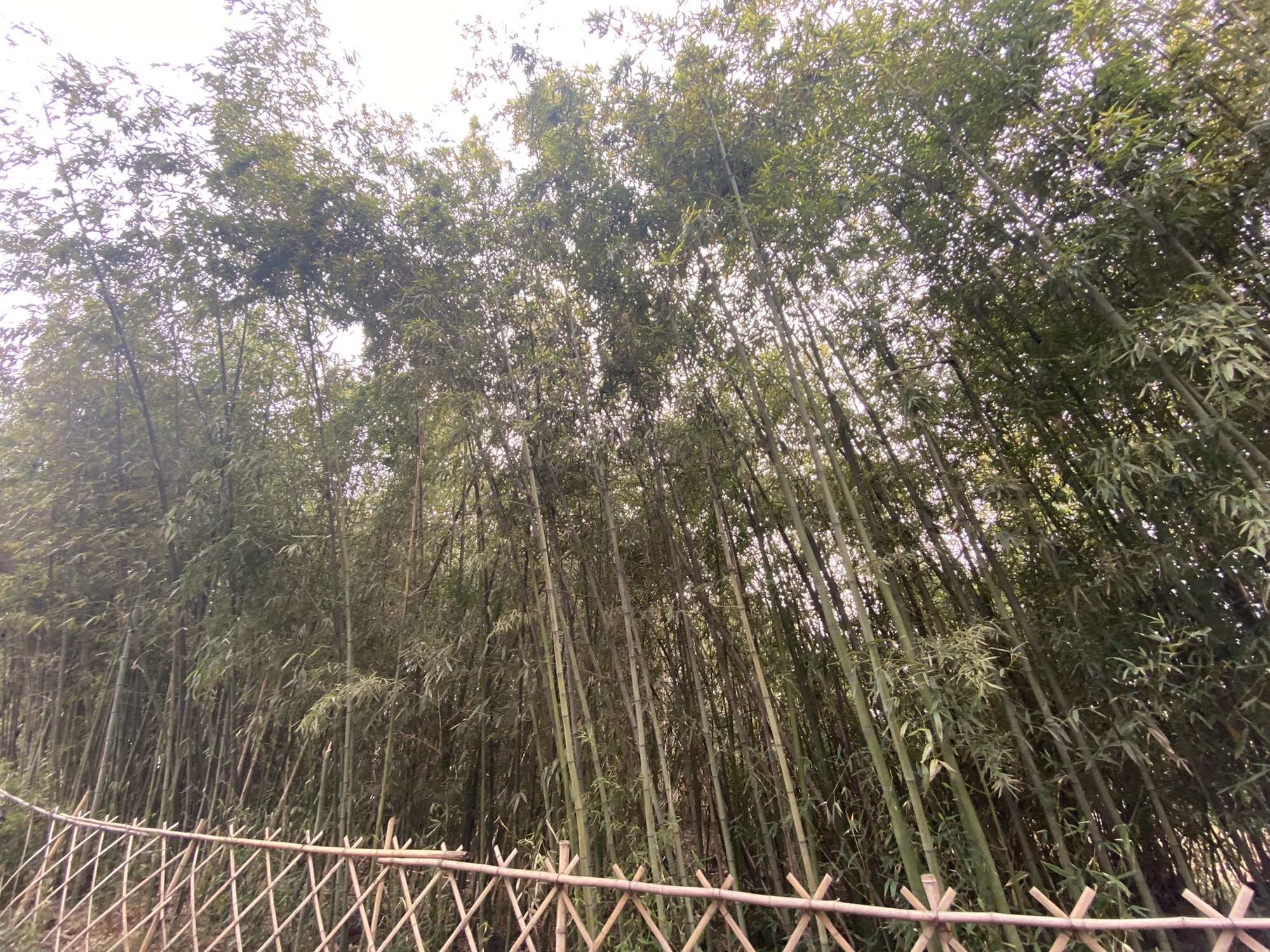 快哉亭公园旅行图片