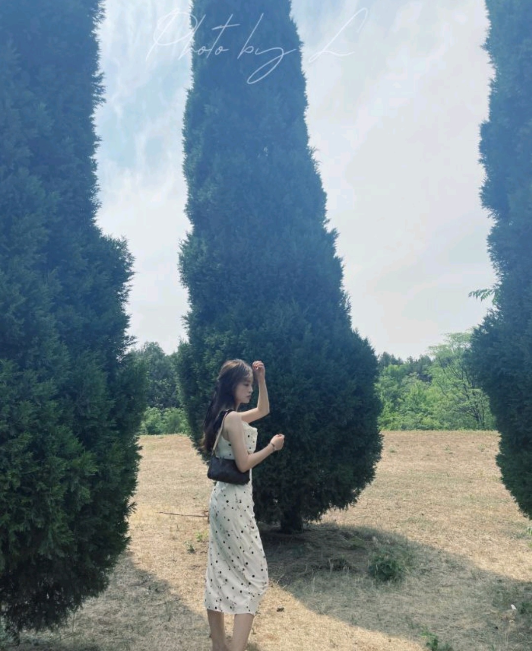 九里山旅行图片 3