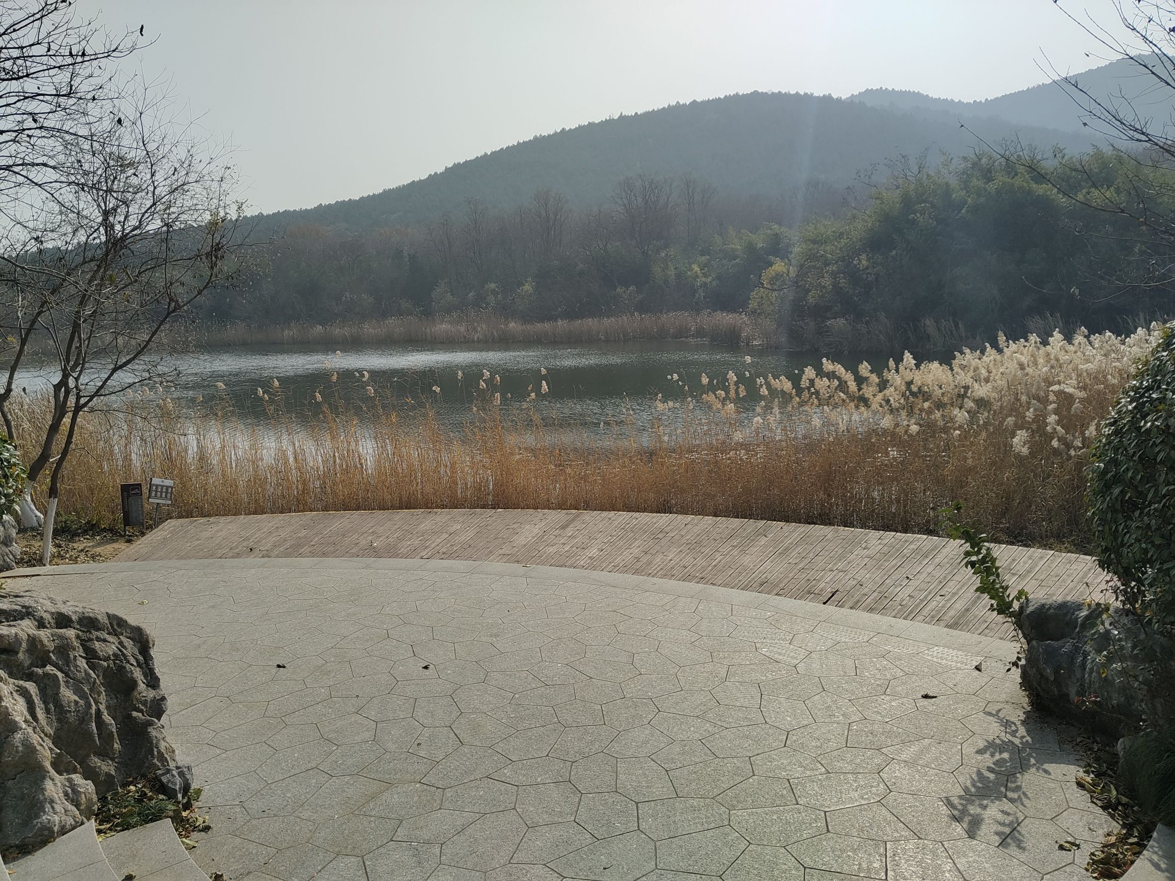 泉山森林公园旅行图片 3
