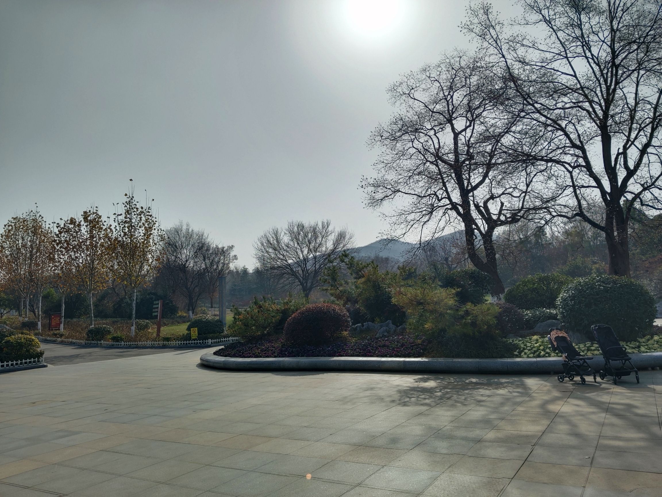 泉山森林公园旅行图片 1