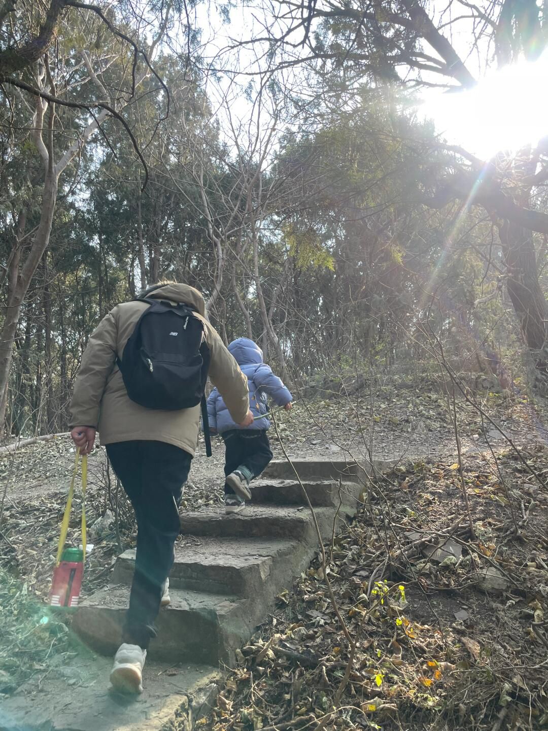 泉山森林公园旅行图片 3