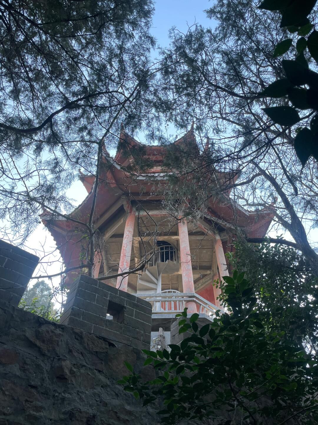 泉山森林公园旅行图片 1