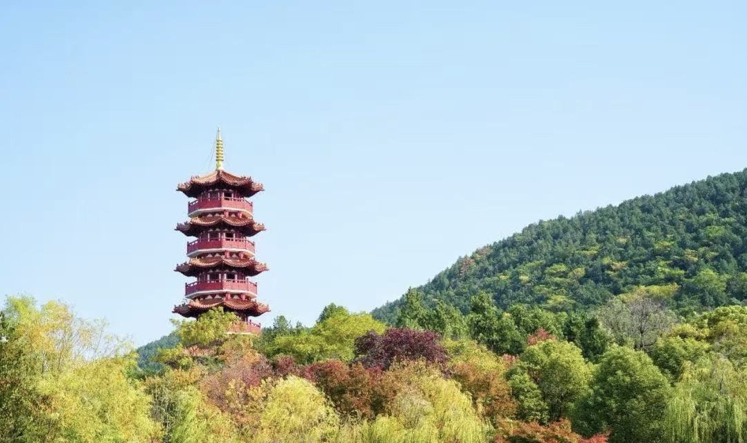 金山公园