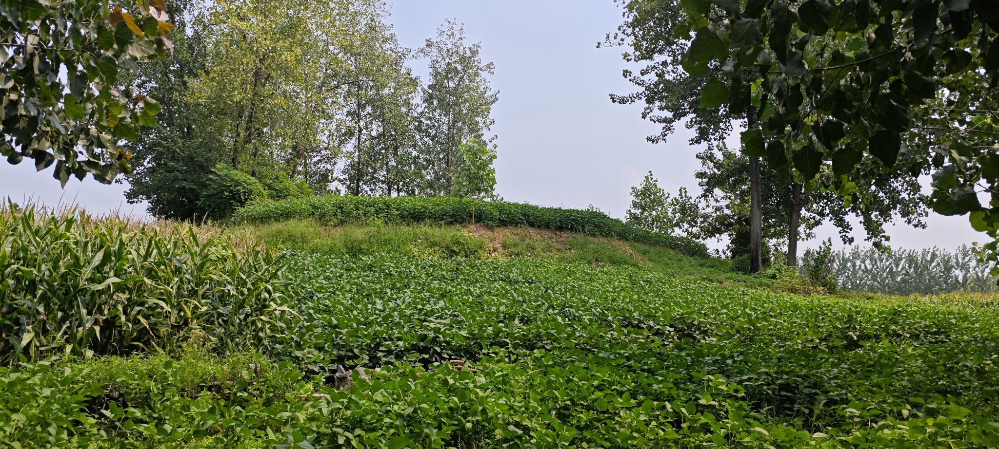 双孤堆古墓葬旅行图片 1