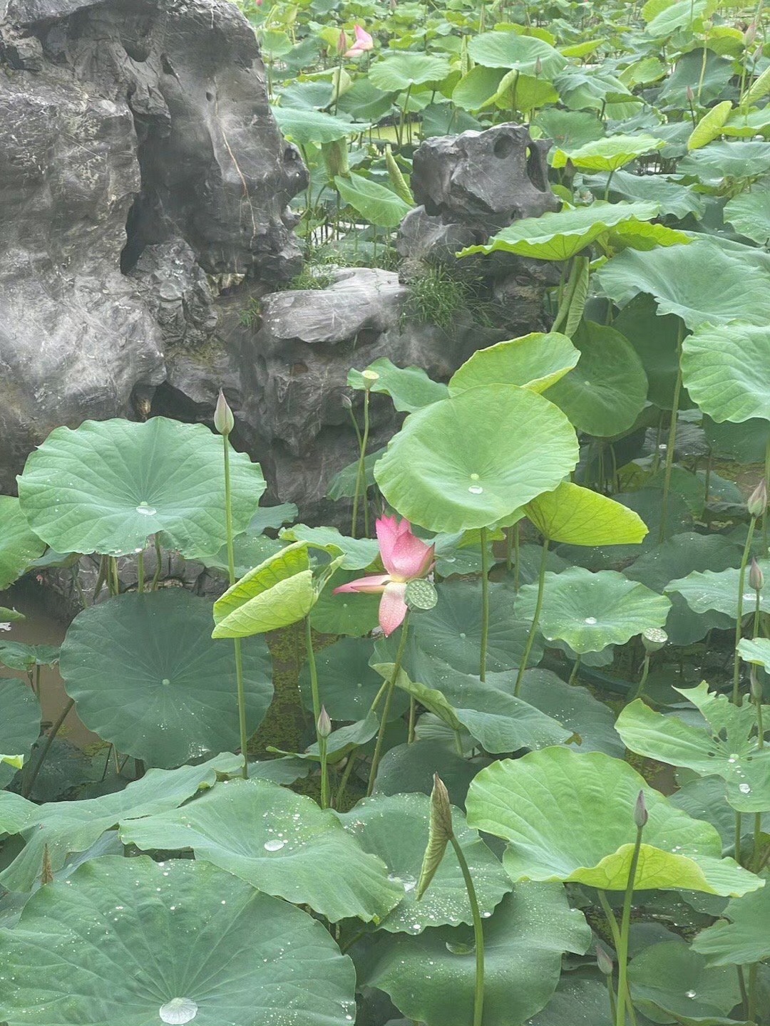汉城公园旅行图片 2