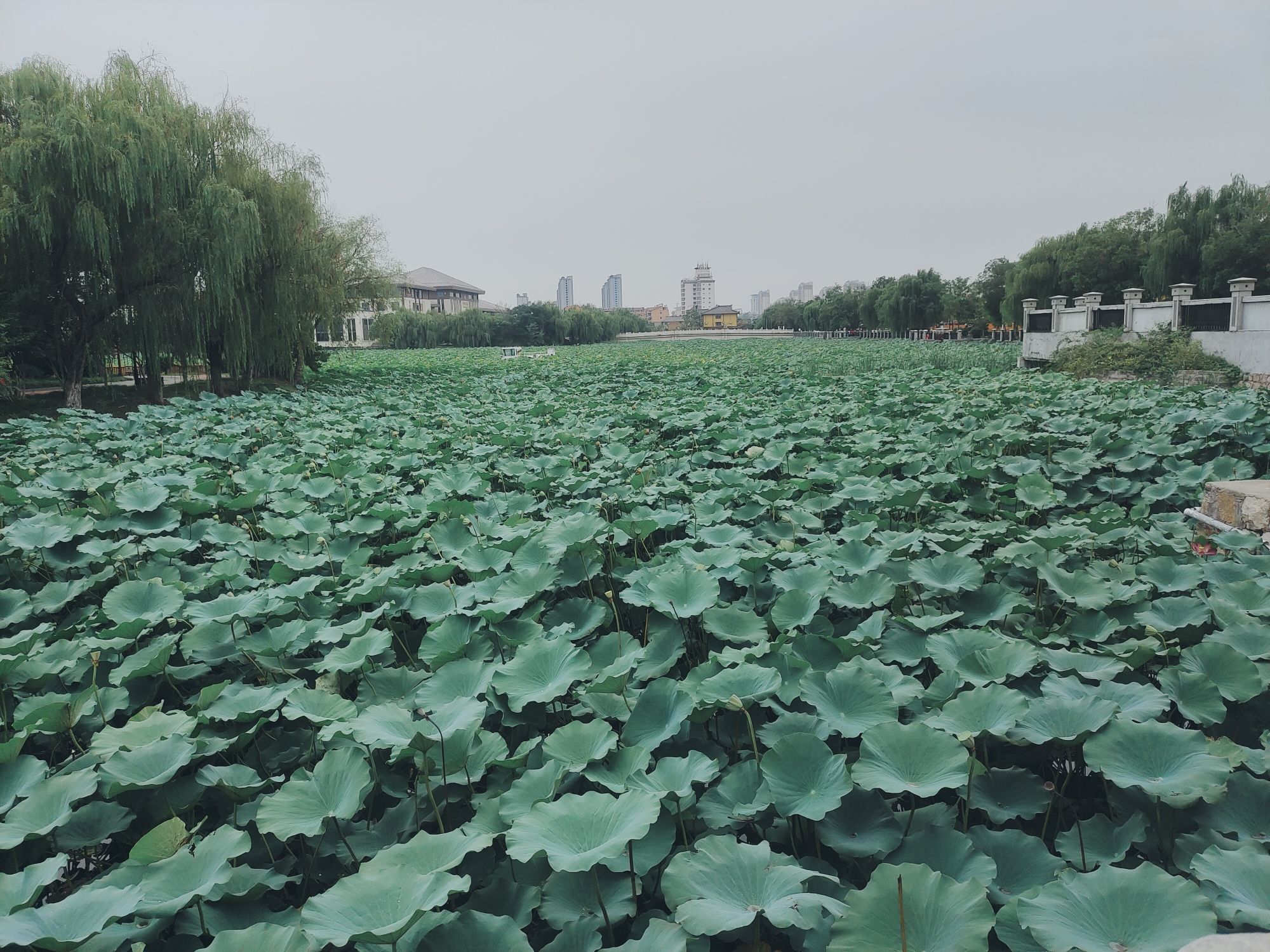 汉城公园旅行图片 1