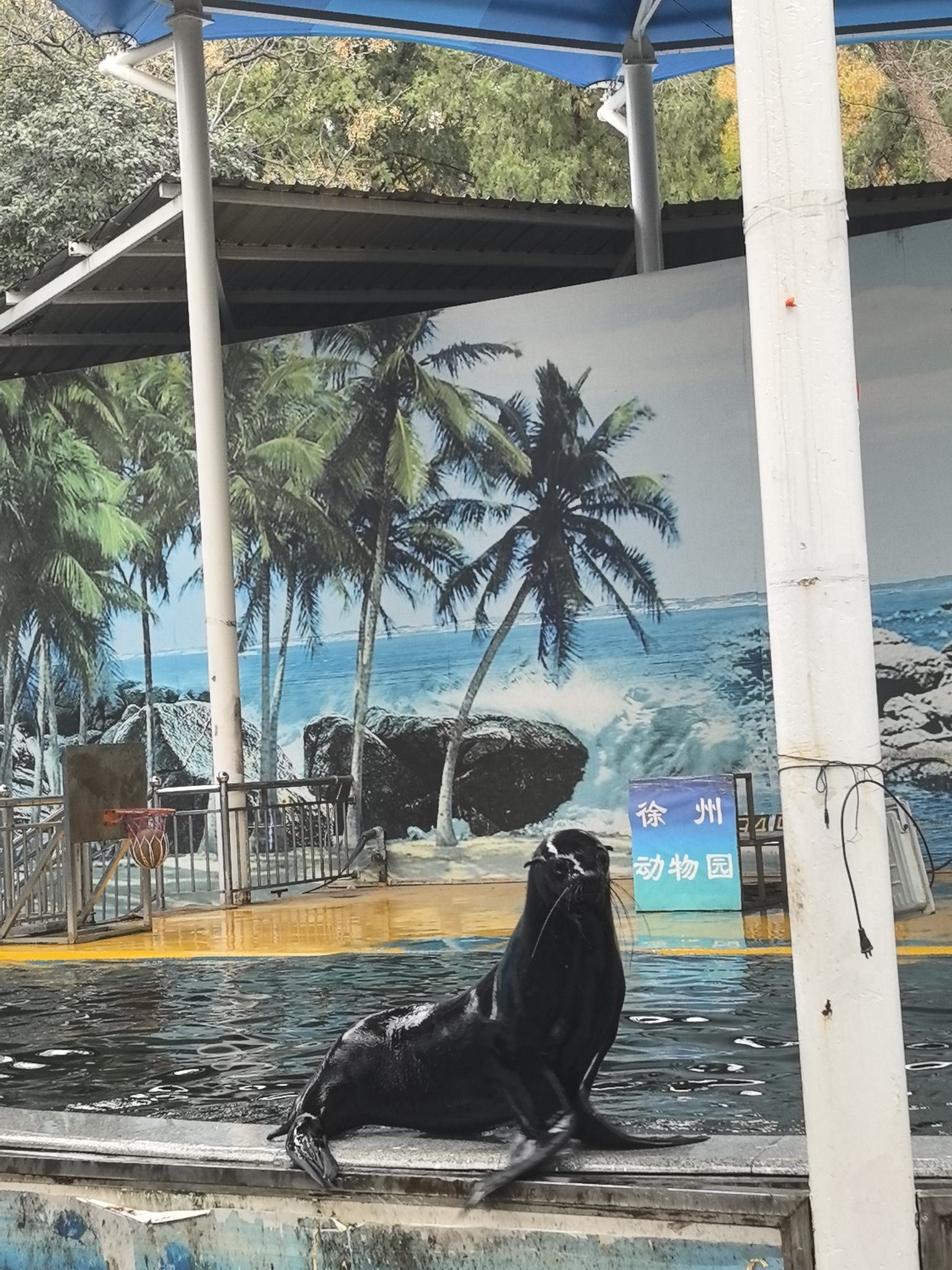 徐州动物园