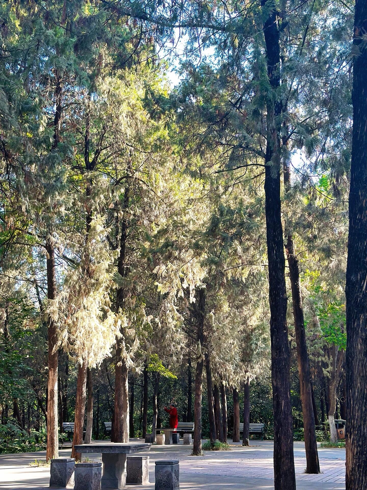 无名山公园旅行图片 1