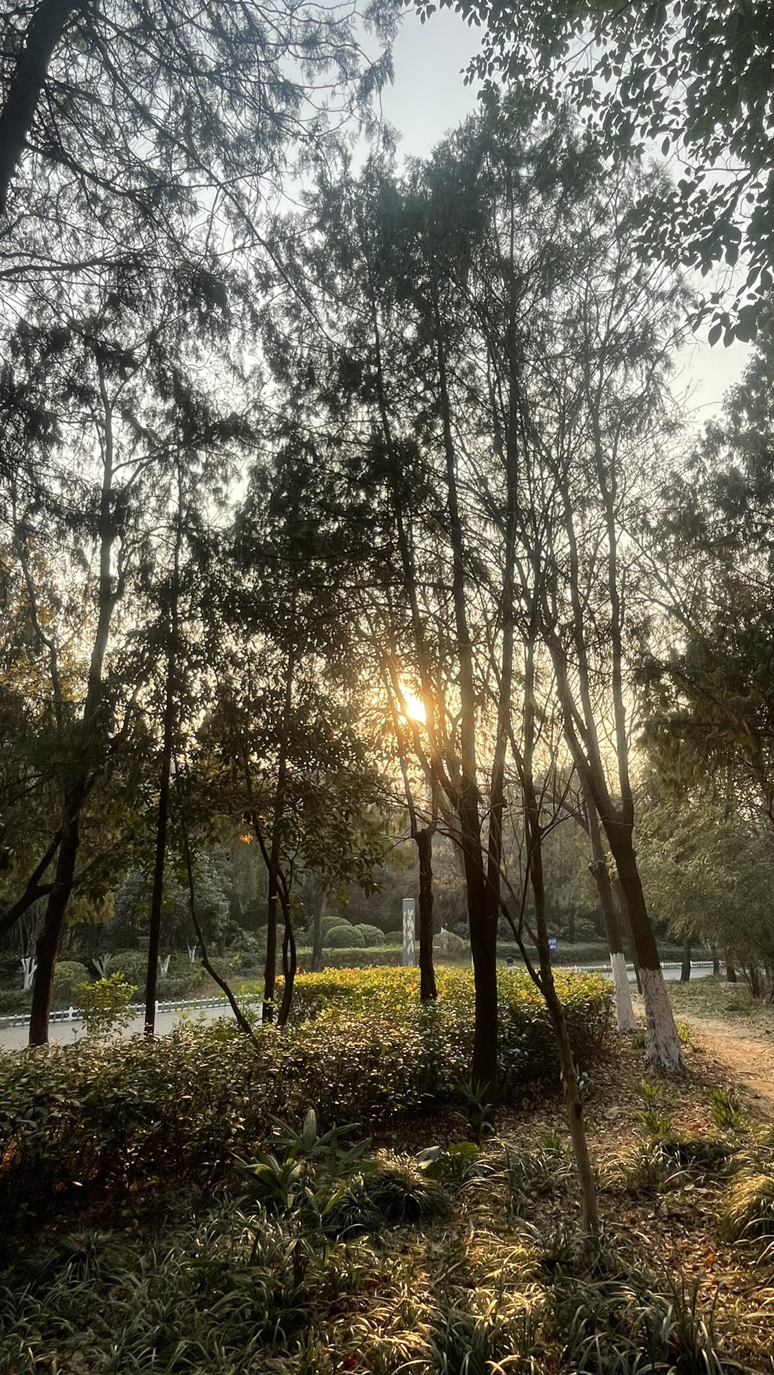 无名山公园旅行图片 1