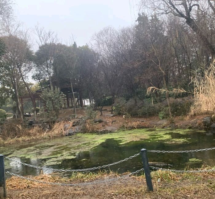 无名山公园旅行图片 1